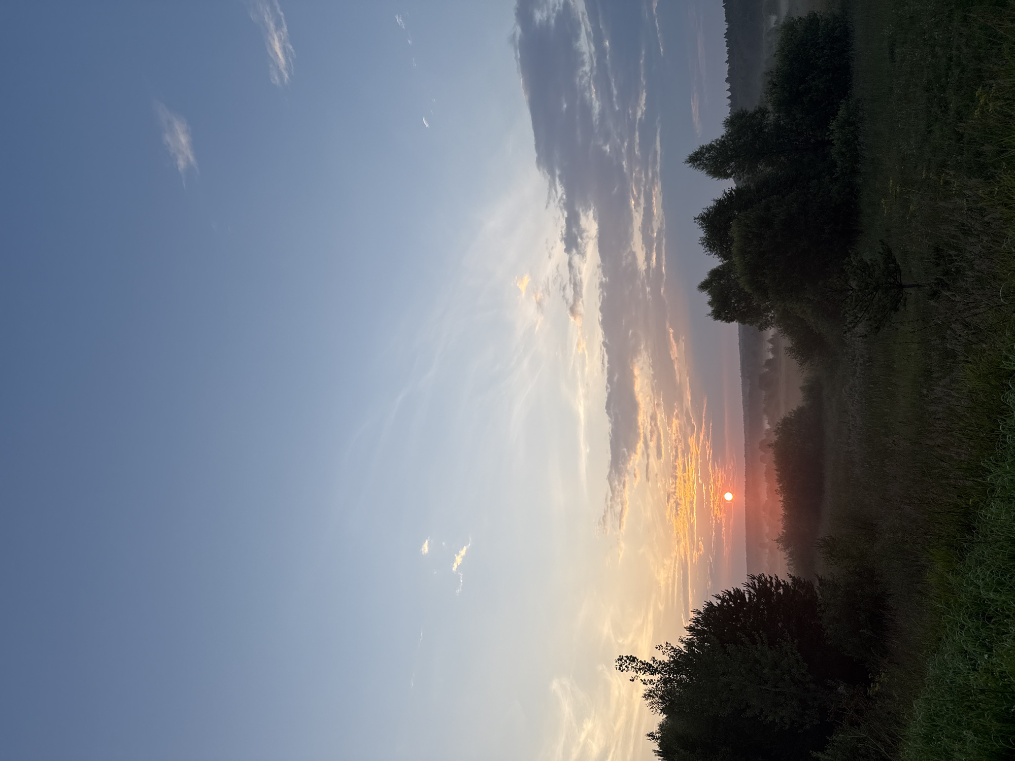 The image depicts a rural landscape at sunrise, likely in or near Balakovo, Russia, given the context. The sky transitions from a pale blue at the top to warmer hues of orange and pink near the horizon, with wispy white clouds scattered across it. The sun, a bright orange orb, is low in the sky, casting a soft glow over the scene. In the foreground, tall grass and trees are silhouetted against the light. A gentle mist blankets the middle ground, obscuring the details of the distant landscape, which appears to be a mix of fields and forests. The overall atmosphere is serene and tranquil, characteristic of an early morning in the countryside. There are no people or animals visible in the image, nor are there any man-made structures other than what might be inferred as distant agricultural or natural land.