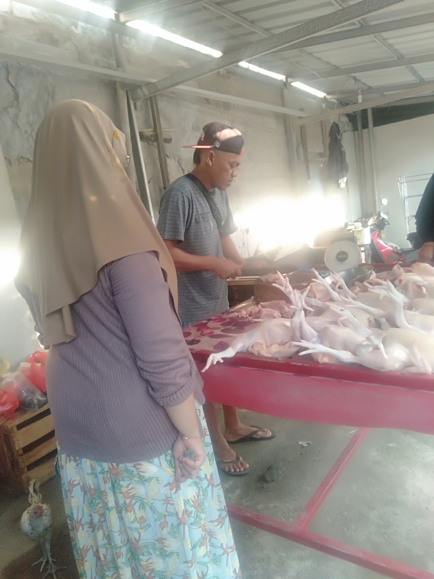 The image depicts a scene at a market in Sukadami, Indonesia. In the foreground, a person wearing a light brown hijab and a purple, ribbed, long-sleeved shirt is visible from the back. Their lower body is covered by a light blue skirt with a floral pattern in shades of green, beige, and orange. Beside them, a live chicken with grey and white feathers stands on the ground.
Behind the person in the hijab, a man wearing a grey, striped t-shirt and a dark red baseball cap is standing. He is positioned behind a red metal table laden with numerous uncooked chickens. The man appears to be in the process of handling or preparing the chickens. The table is covered with a patterned red cloth.
The environment suggests an open-air market or a food processing area. Overhead, fluorescent lights are visible, and the walls appear to be made of concrete blocks. In the background, parts of a red motorcycle and a weighing scale are visible. Plastic bags containing unknown items are also present on the left side of the image, placed on a wooden crate. The overall lighting is bright, with a strong glare indicating sunlight or intense artificial lighting.