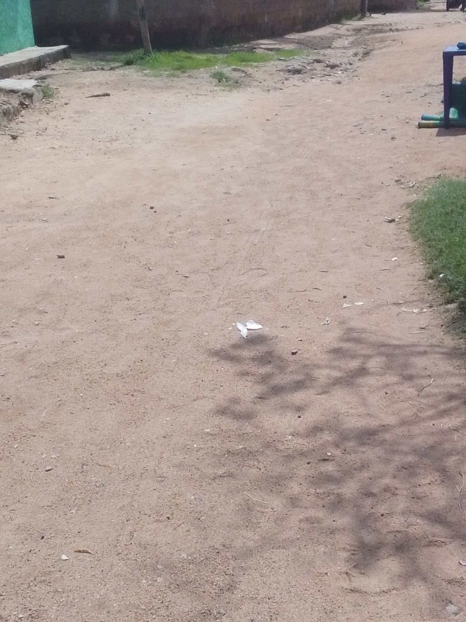 The image depicts a dirt path in Jalingo, Nigeria, with a scattering of debris on the ground. In the center of the frame, a white object, possibly a crumpled piece of paper or a plastic bag, lies on the dirt. The path is bordered by dry grass and a low wall on the left, and more grass on the right. In the background, a building with a dark facade is visible, and further to the right, a blue and green structure, possibly playground equipment, stands near the edge of the path. Shadows from nearby trees are cast across the ground. The overall scene suggests a public or semi-public outdoor area with signs of some neglect.