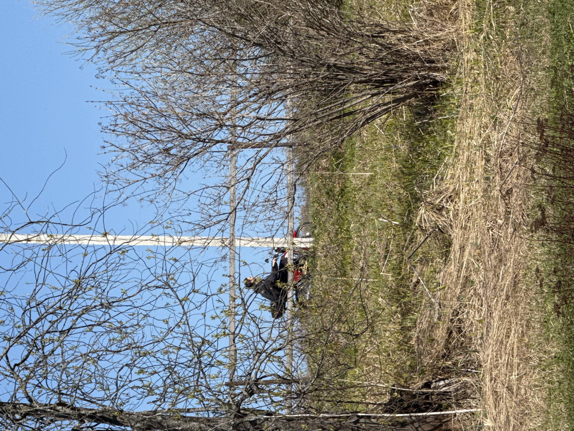 A motorcyclist on a red motorcycle is seen through a tree against a blue sky and tall grass in Rosstani, Russia.