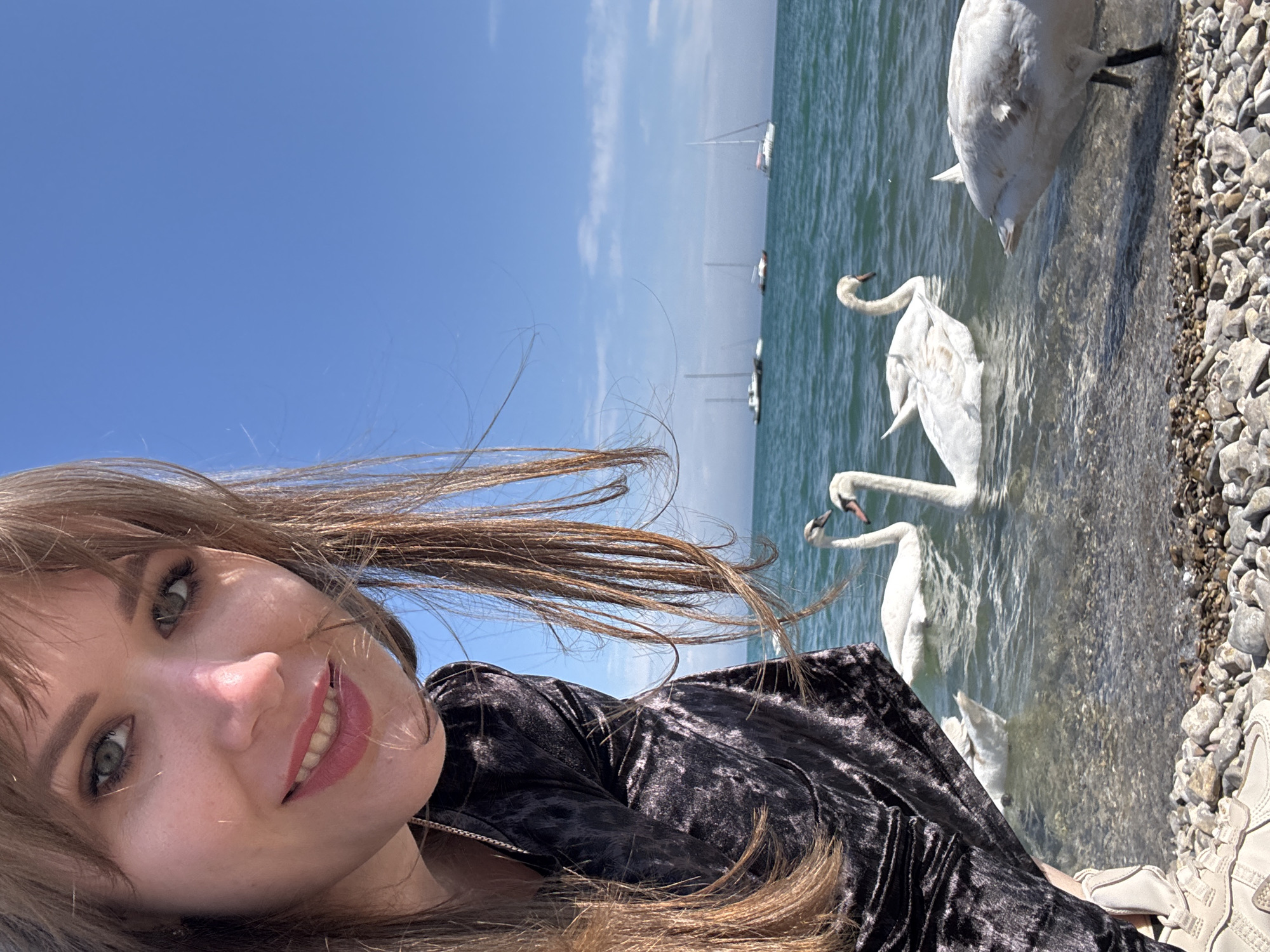 A woman poses for a selfie by a body of water with several swans. She has light brown hair, fair skin, and is wearing a dark, textured top. The swans are white, some standing near the rocky shoreline and others swimming in the water. In the background, there are sailboats visible on the water under a clear, blue sky with some wispy clouds. The location is most likely not Yevpatoriya, Ukraine, due to the presence of swans in the water, which is not characteristic of the Black Sea beaches in that area. The shoreline consists of small, grey stones.