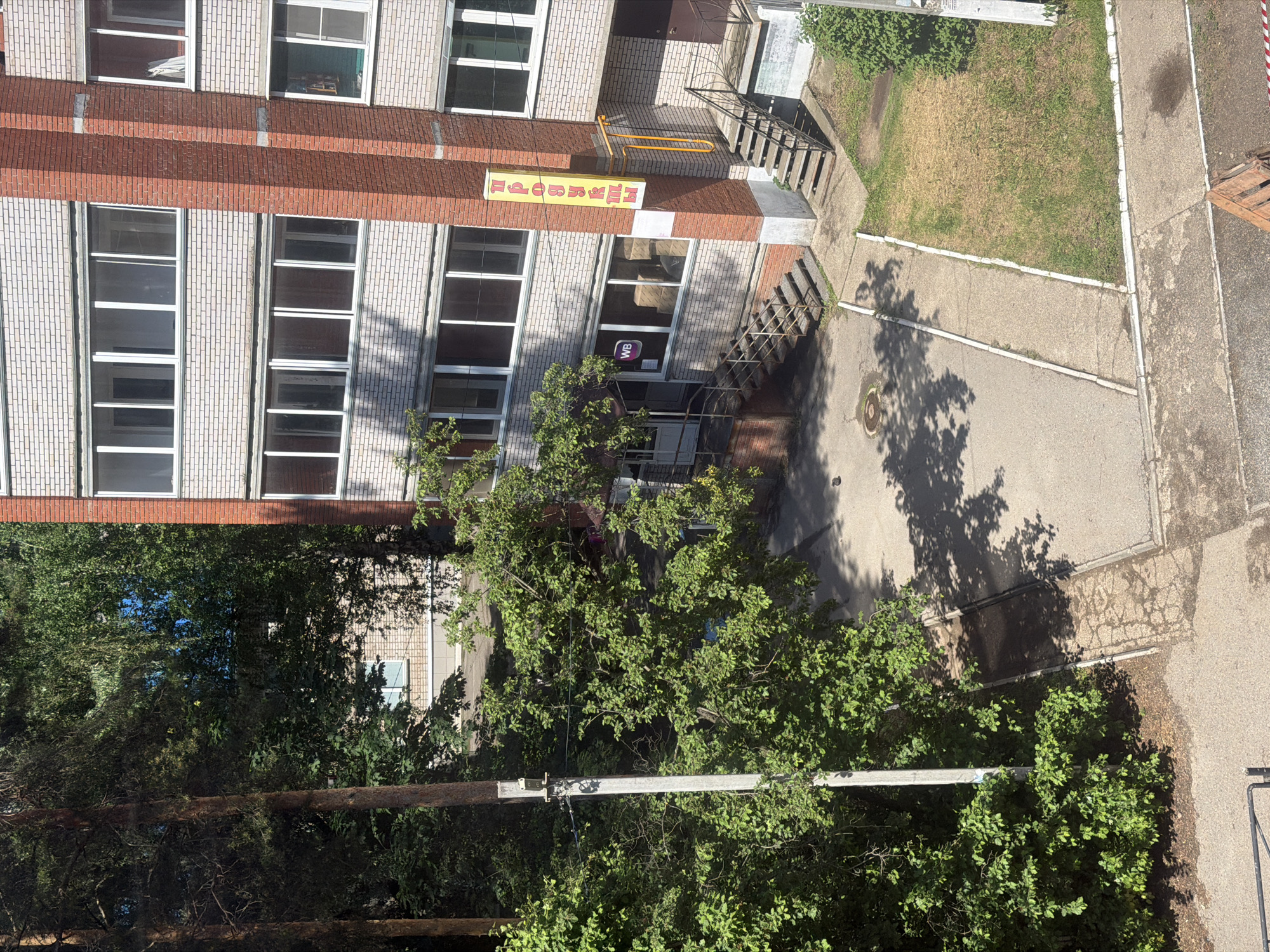An aerial perspective captures a multi-story building and its surrounding ground area in Chaikovsky, Russia, under bright daylight. The building features a facade of red brickwork and lighter-colored panels with numerous rectangular windows.
At the ground level, two entrances with concrete steps are visible, one featuring a metal handrail. A prominent rectangular yellow sign, bearing the red Cyrillic text "Добрятин" (Dobryatin), is affixed to the building above one of these entrances. Below this sign, a purple "WB" logo, indicative of the e-commerce company Wildberries, is visible on or near the entrance.
The ground area is a mix of paved asphalt and concrete walkways, bordering patches of grass, some of which appear dry. Strong shadows from the building and trees are cast across the paved surfaces, suggesting a sunny day. Dense green foliage and mature trees partially obscure the lower sections of the building and ground, and a utility pole with a crossbar runs across the lower portion of the frame, partially hidden by the trees. No people or active events are discernible in the scene.
