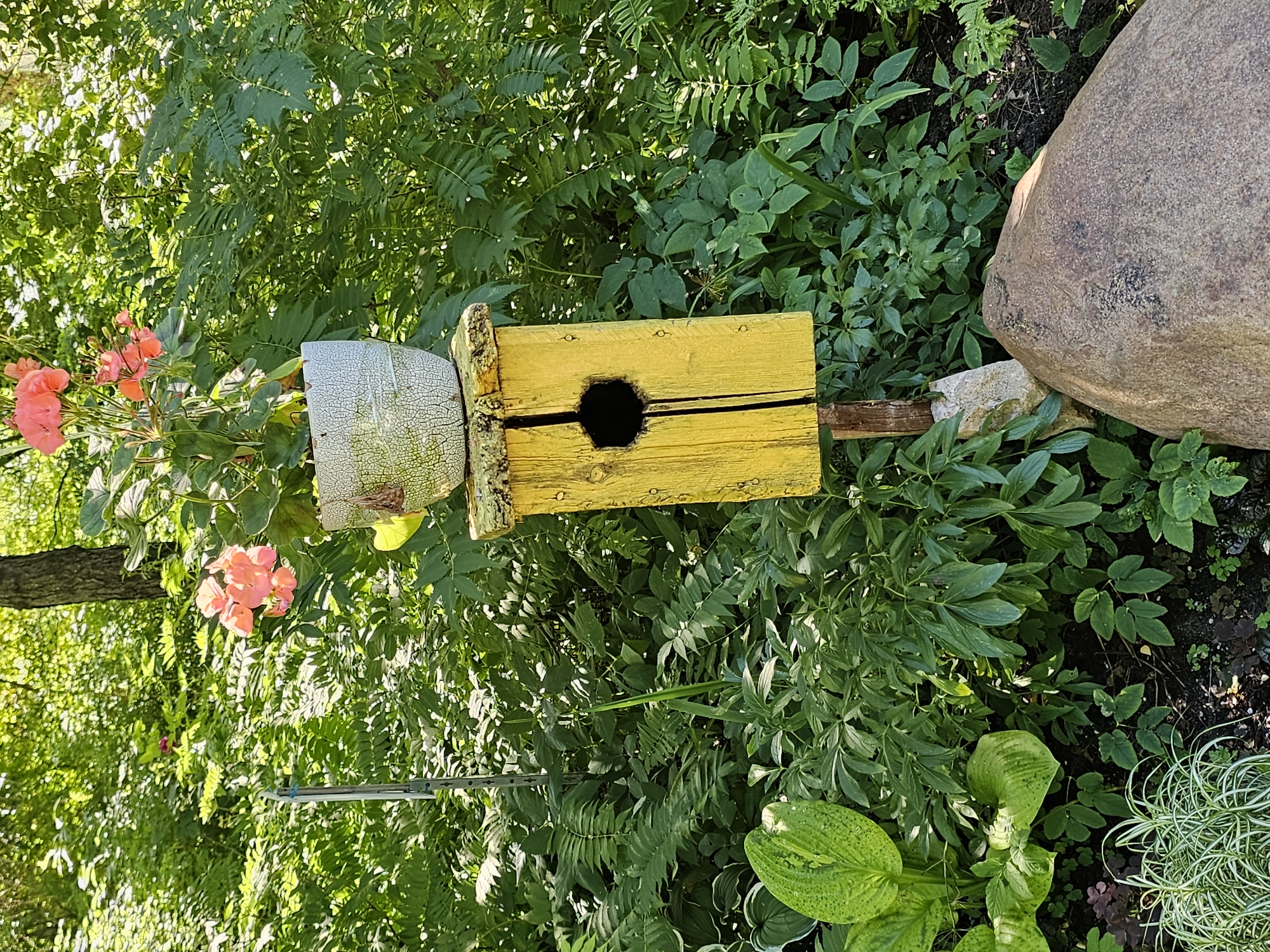This is a close-up, eye-level, full-frame shot of a handmade yellow birdhouse in a lush garden setting. The birdhouse is made of wood, with a darker wood roof that has a rough, bark-like texture. A hexagonal opening is visible on the front of the birdhouse. A pot containing bright pink geraniums sits atop the birdhouse. The birdhouse is mounted on a wooden stake that is partially embedded in the ground and supported by a light-colored stone. The garden is densely planted with various green foliage, including hostas and ferns, and a large, rounded boulder is visible in the foreground. The scene is illuminated by bright, natural sunlight, creating strong highlights and shadows. There are no people or animals visible in the image. The image does not contain any recognizable landmarks or indicators that would allow for identification of its location within Khimki, Russia.