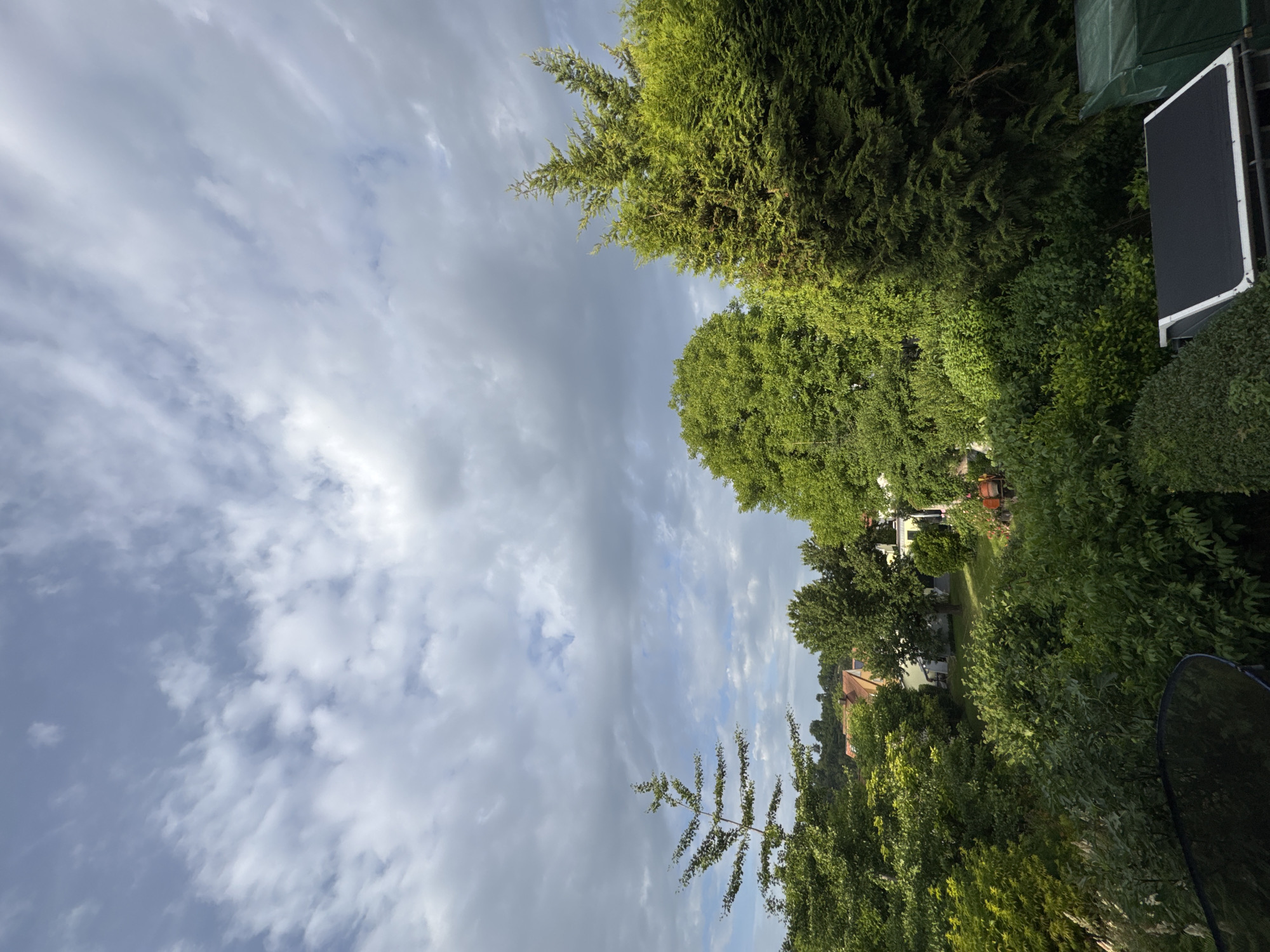 The image is an exterior, eye-level, full shot of a residential area on a cloudy day. The foreground features lush green trees and hedges. In the midground, a residential yard is visible with houses and more trees. The background shows a sky with scattered clouds. The scene appears to be located in Bietigheim-Bissingen, Germany. No people, actions, or interactions are depicted.