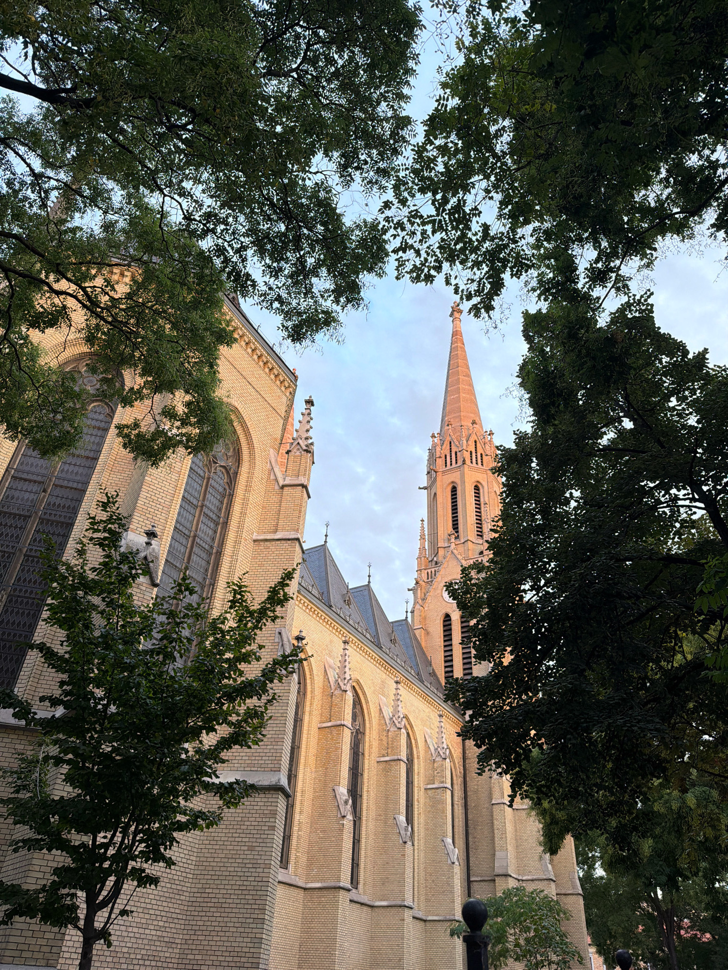 The image shows a large, yellow brick church with a tall, slender spire. The church has gothic architectural elements, including pointed arch windows and decorative spires on the roof. The building is partially obscured by lush green trees with dense foliage. The sky above is a pale blue with scattered clouds, suggesting it is either early morning or late afternoon. The perspective is from below, looking up at the church and trees, which creates a sense of grandeur. The image appears to be taken in an urban setting, likely a park or square surrounding the church. The specific location of the church in Budapest, Hungary, is not discernible from the image itself. There are no people or animals visible in the frame.