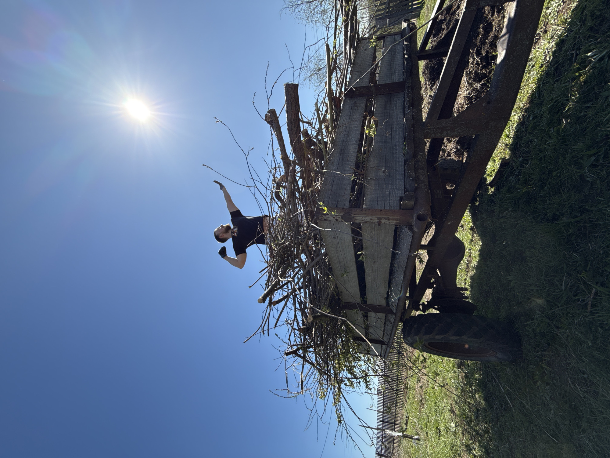 A medium outdoor shot shows a bearded man wearing a black t-shirt and gloves standing in an old, weathered, wooden wagon. The wagon is filled with twigs and branches. The setting is likely in a rural area near Nizhnyaya Chermoda, Russia. A bright sun shines in a clear blue sky. Grass is visible on the ground next to the wagon. A partial fence appears in the lower frame.