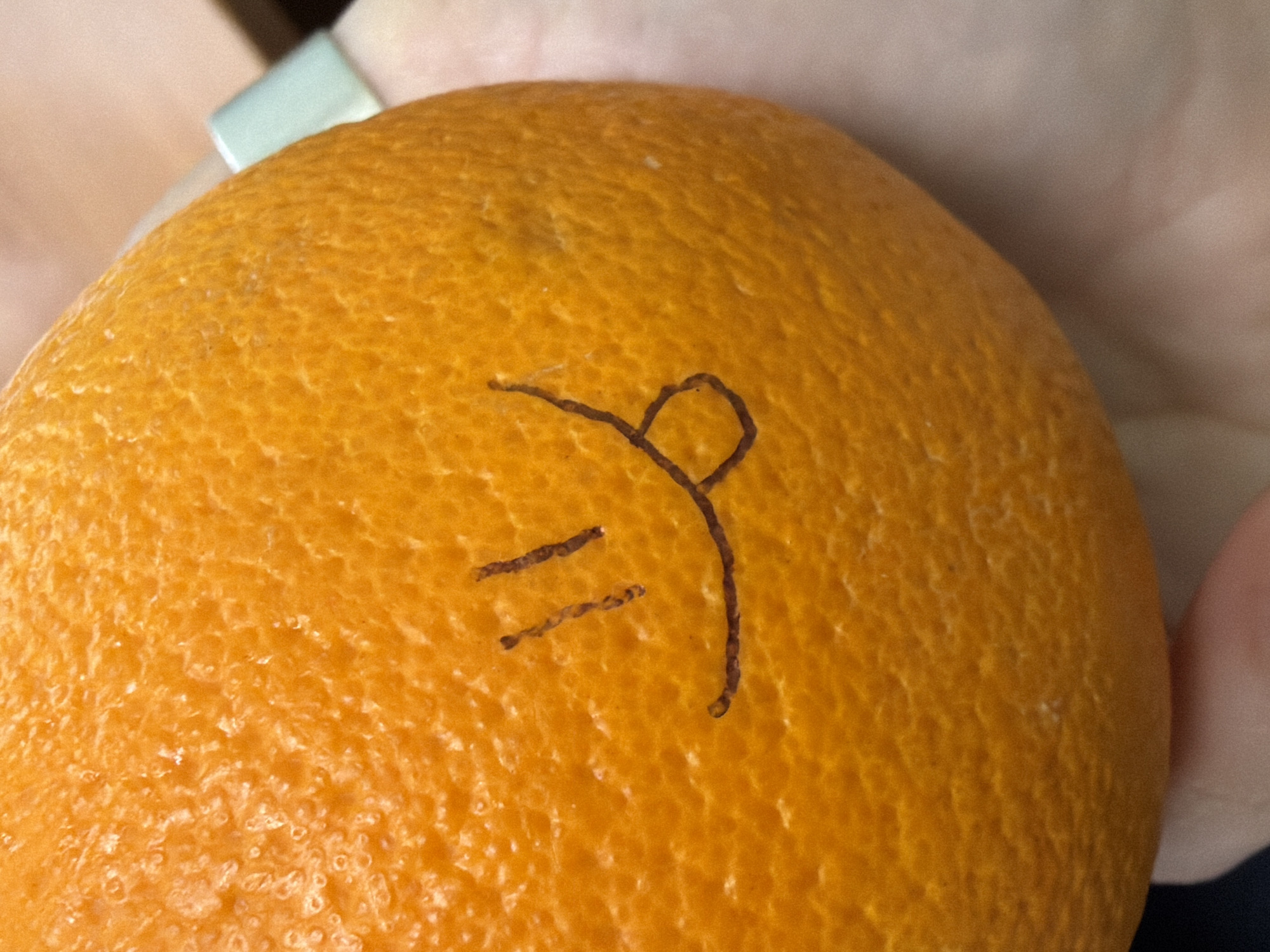 A close-up image displays a vibrant, orange-colored citrus fruit, likely an orange, held in a person's hand. The orange has a distinctly textured, pitted peel. On its surface, a simple, dark brown mark is visible, etched or drawn into the skin. This mark consists of a curved line forming a partial loop or circle on the upper right, with a connecting stroke extending downwards. To its left, there are two short, parallel horizontal lines, together forming a rudimentary, abstract symbol or a highly simplified stick figure.
A human hand, with a light skin tone, is seen gripping the orange. A metallic, light-colored object, possibly a ring or a part of another accessory, is visible on a finger near the top edge of the frame. The background is softly blurred and appears to be a plain, light-colored surface, suggesting an indoor setting. The specific location is Chaikovsky, Russia. There is no discernible activity beyond holding the fruit, and no visible text. The time of day, weather, or emotions are not conveyed by the image.