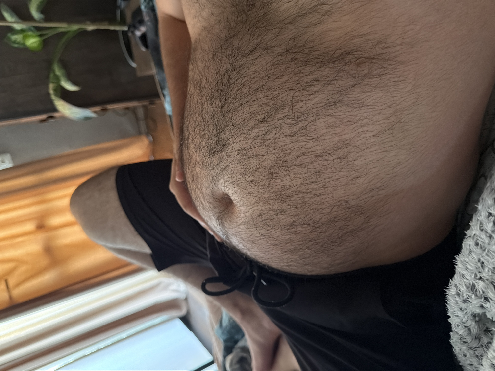The image shows a close-up, low-angle view of a person's midsection, focusing on their belly and lower torso. The person is wearing black shorts with a drawstring. Their skin is visible, and there is a significant amount of dark hair on their abdomen. The belly appears rounded and protrudes slightly.
In the background, out of focus, there are elements suggesting an indoor setting. To the left, a portion of a table or shelf is visible, with a green plant with broad leaves. The plant appears healthy. Further back, there are hints of curtains or blinds in a warm, golden hue, and what looks like a textured grey blanket or fabric is on the right side of the frame. The lighting suggests it could be daytime, possibly indoors with natural light filtering in.
The overall mood of the image is neutral and observational, focusing solely on the physical details of the subject's torso. There is no visible text in the image. The cropped nature of the image, combined with the low angle, creates an intimate but not necessarily revealing perspective. The context of Tbilisi, Georgia, does not provide specific visual cues within this particular frame.