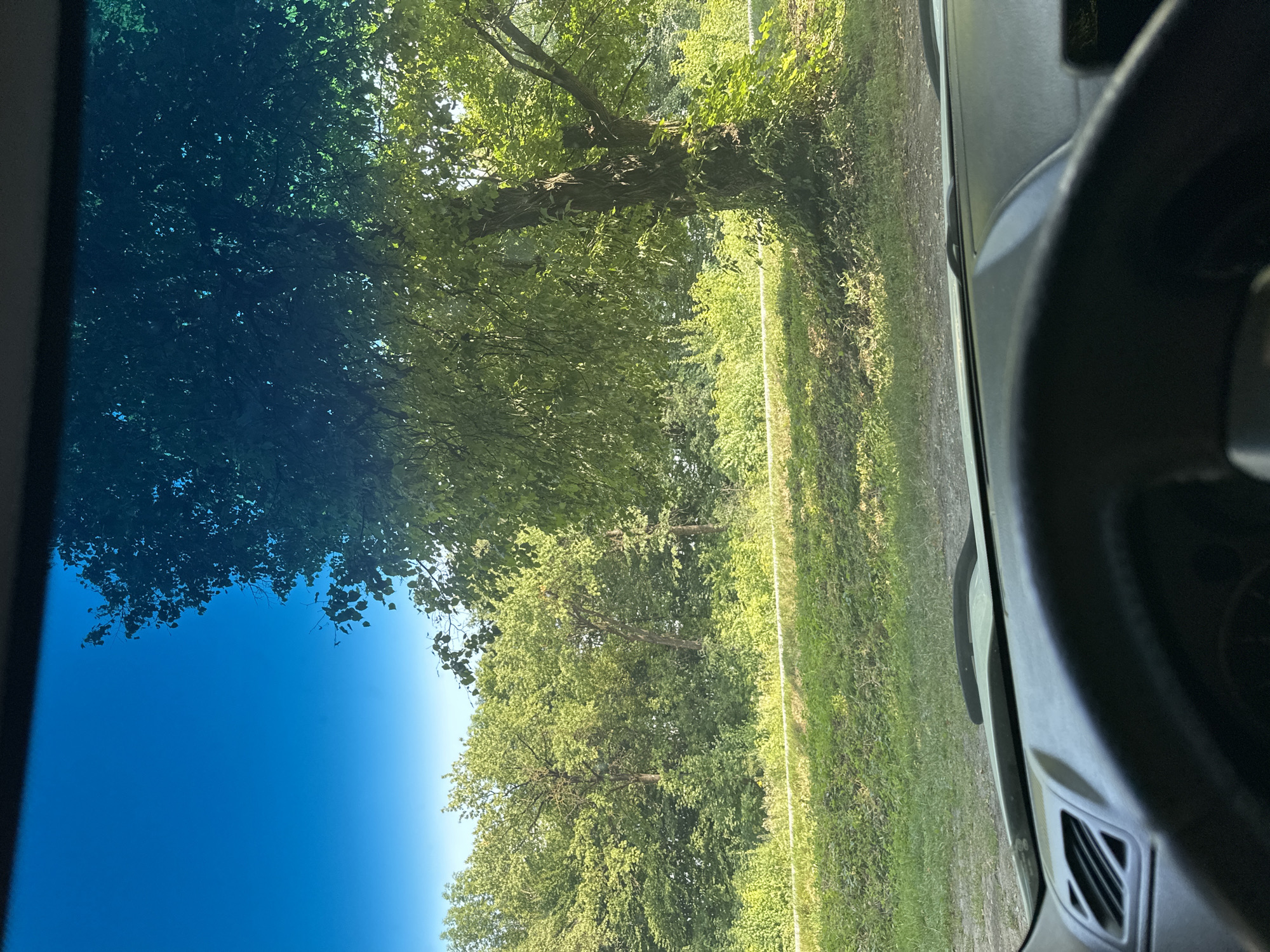 The image depicts a view from inside a vehicle, looking out through the windshield. The foreground shows a portion of the car's dashboard and steering wheel. Beyond the windshield, a sunny outdoor scene unfolds, characterized by lush green trees and vegetation. The sky is a vibrant blue. The scene is consistent with a roadside view in a natural setting. Based on the available information, this image was captured in Shatava, Ukraine.