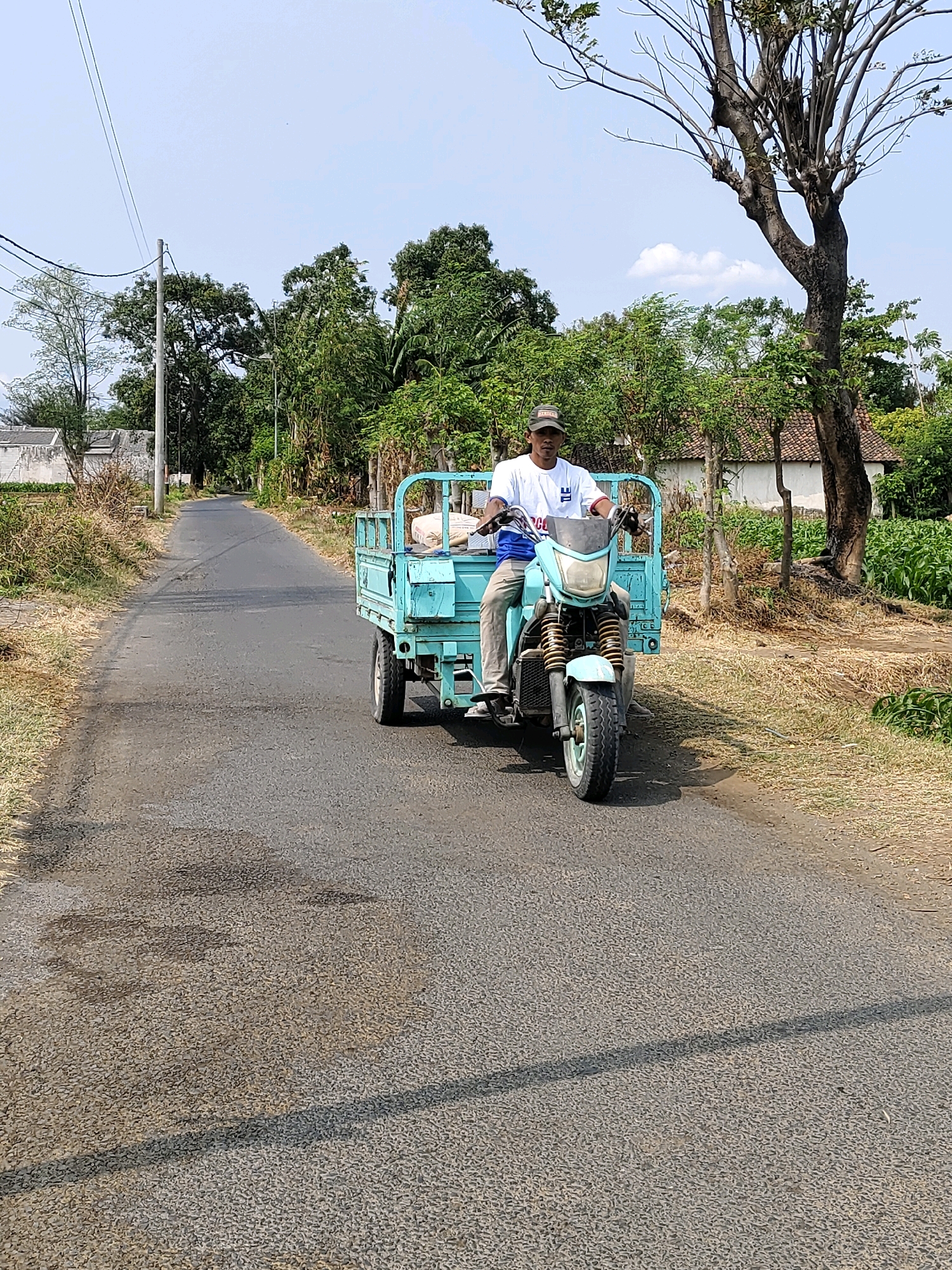 In Probolinggo, Indonesia, a man wearing a white t-shirt, a blue undershirt, khaki pants, and a dark baseball cap rides a light blue motorized tricycle on a paved road. The tricycle has a metal cargo bed in the back, which contains two white sacks of what appears to be cement. The road is flanked by dry grass and vegetation on both sides, and further in the background, there are houses, trees, and a clear blue sky. The man is looking forward and appears to be operating the vehicle. The scene suggests a rural or semi-rural setting within Probolinggo.