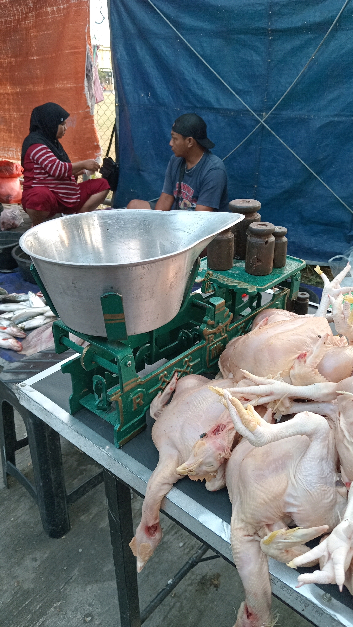 This is a full-shot, eye-level, outdoor photograph taken at a street market in Pongangan, Indonesia. The scene depicts a market stall with various goods on display, including raw chickens and fish, alongside a weighing scale.
In the foreground, a large, vintage, green and gold mechanical balance scale is prominent. It has a wide, shallow aluminum pan on top and a platform with multiple cylindrical metal weights. Piled on the right side of the scale and on the table in front of it are several whole, raw chickens, some with their feet visible. To the left of the scale, a pile of gutted fish, some with red fins, lies on the table.
Behind the scale, two people are present. A woman on the left, wearing a red and white striped long-sleeved shirt and a black headscarf, is crouching and appears to be interacting with something in her hands. A man on the right, wearing a dark blue t-shirt and a black baseball cap, is seated and looking towards the left. He appears to be engaged in a conversation or transaction with the woman.
The background is dominated by large tarpaulins, one an orangey-brown color on the left and a blue one on the right, suggesting a temporary market setup. Some fencing is visible behind the tarpaulins. The ground appears to be paved with concrete. The overall impression is of a typical street market scene in Indonesia, likely a butcher's stall.