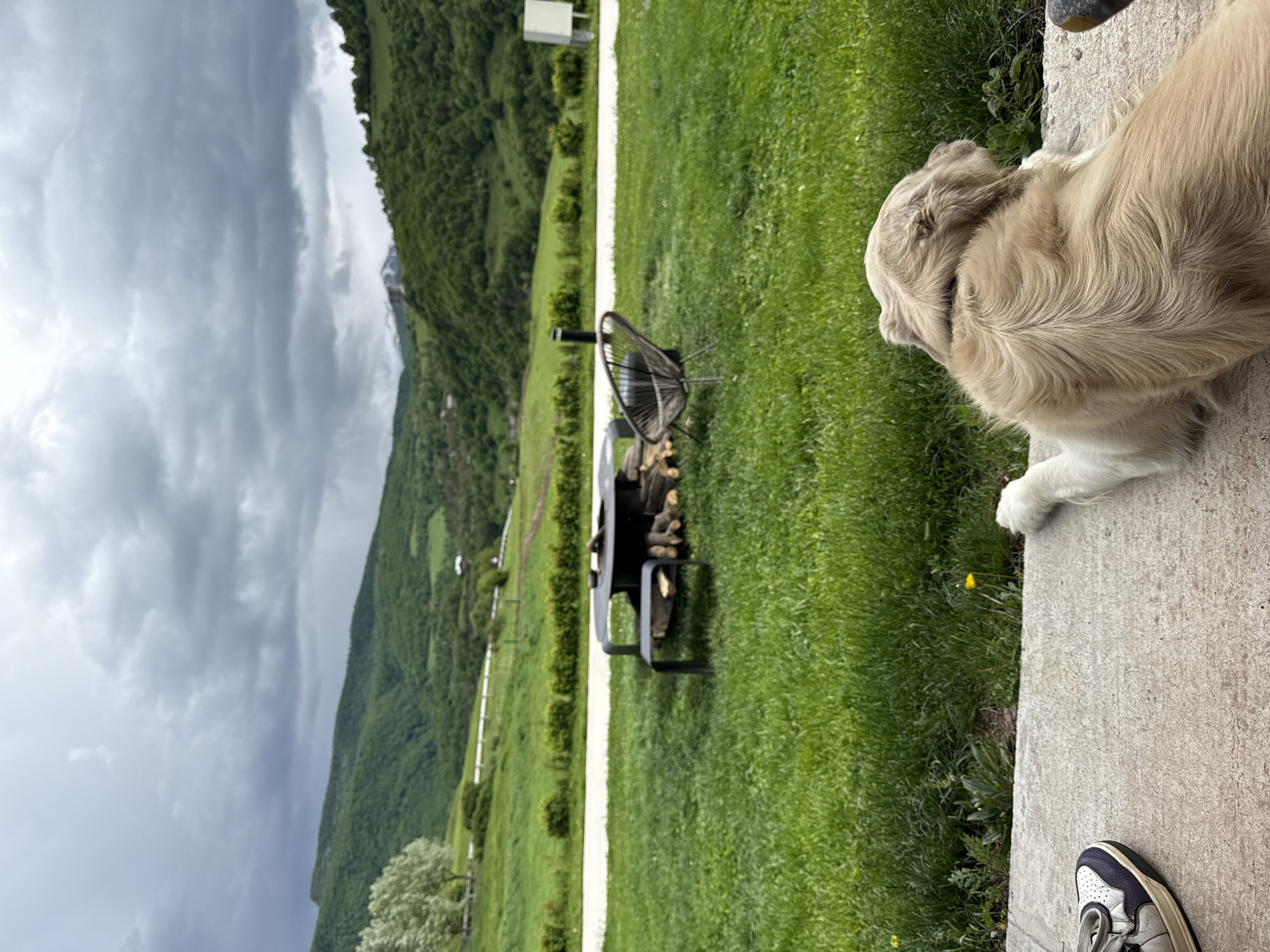 The image shows a landscape in Chkalov, Armenia, featuring a light brown dog lying on a concrete surface. Adjacent to the dog is a grassy lawn, and further in the background is a BBQ grill and a metal chair. Beyond the lawn is a verdant hillside leading to mountainous terrain under a cloudy sky.