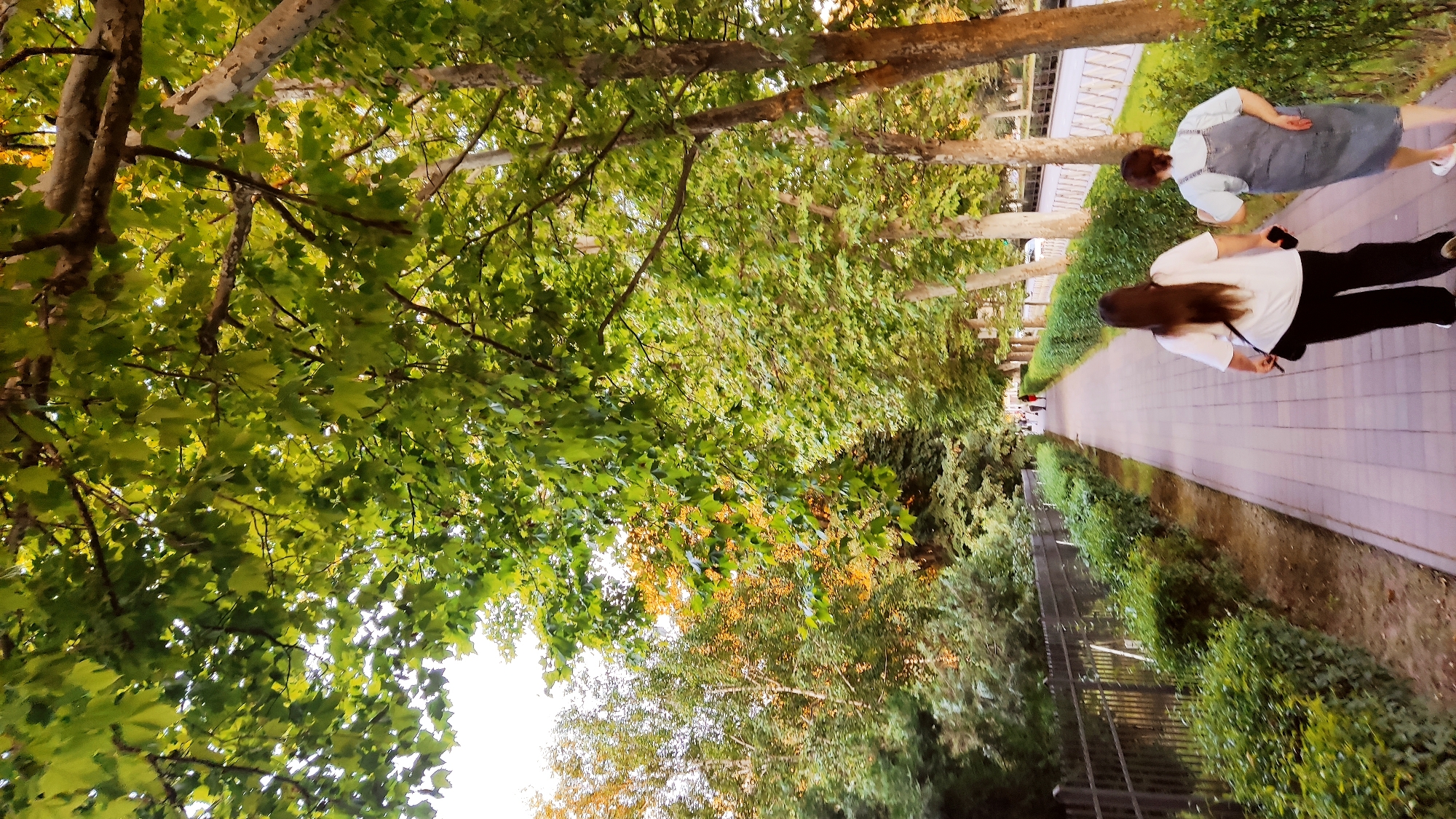 Two women are walking on a paved sidewalk in a park-like setting. The woman in the foreground on the left is wearing a white t-shirt and black pants, with her long dark hair down her back. The woman to her right is wearing a denim jumpsuit and appears to be walking slightly ahead. They are walking away from the viewer down a path lined with trees on both sides. The trees have lush green foliage, and some have autumnal colors mixed in. On the left side of the path, there is a black metal fence and neatly trimmed green bushes. On the right side, there are more trees and beyond them, a road with cars. The overall lighting suggests it is late afternoon or early evening. This location is consistent with a walkway found in the city of Krasnodar, Russia, possibly within a park or along a boulevard.