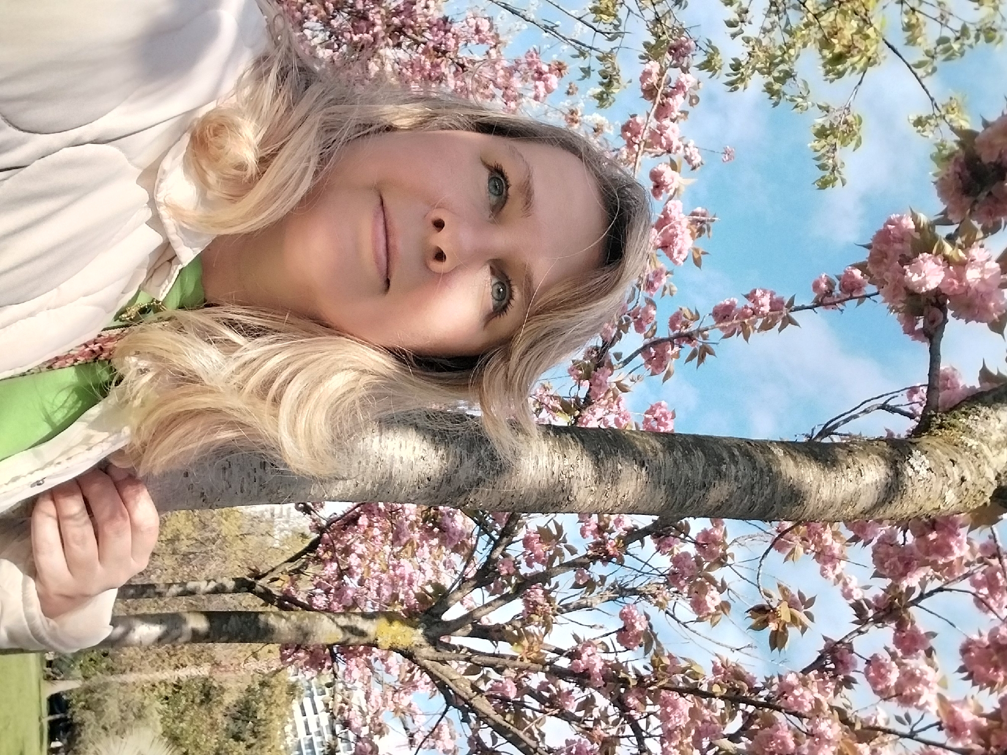 This image captures a woman looking up towards the camera, framed by vibrant pink cherry blossoms against a clear blue sky. The woman has long, wavy blonde hair and captivating light-colored eyes. She wears a light-colored jacket over a green garment, her expression serene with a subtle, gentle smile.
The setting is outdoors, characteristic of springtime, with the abundant pink flowers of a cherry blossom tree dominating the upper and lower portions of the frame. A sturdy tree trunk extends horizontally across the middle of the image, behind the woman, providing a sense of depth and structure. The sky is a brilliant blue with soft white clouds, suggesting bright, clear weather. In the background, hints of green foliage and distant buildings can be discerned, indicating a park or garden environment.
The photograph is taken from a low angle, emphasizing the overhead branches and the upward gaze of the subject. The lighting is bright and natural, typical of a sunny day, likely midday or afternoon. The scene conveys a peaceful and joyful mood, celebrating the beauty of nature. This moment takes place in Sochi, Russia. No text is visible in the image.