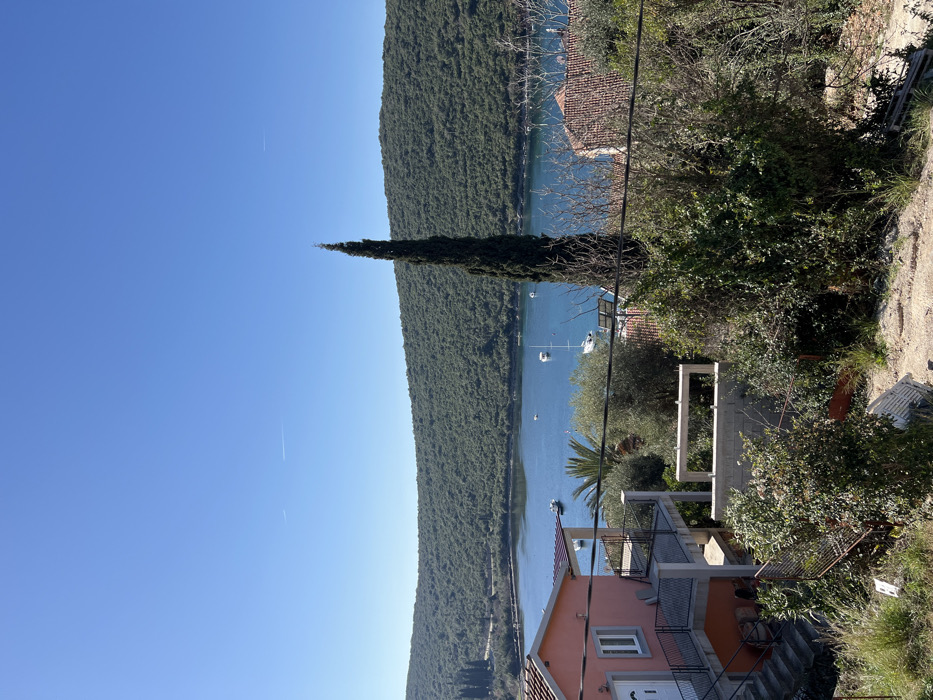 The image depicts a panoramic view of a coastal settlement in Bigova, Montenegro, under a clear blue sky with two faint contrails. The scene is dominated by a calm, deep blue bay, encircled by densely forested, undulating green hills that stretch from the mid-ground to the horizon.
In the bay, approximately eight small boats, including sailboats and motorboats, are anchored, scattered across the water.
In the foreground and mid-ground, architectural and natural elements are visible. To the left, a two-story building with salmon-pink stucco walls and a terracotta tile roof features a white entrance door on the upper level and a white-framed window. A black metal railing encloses a balcony on the upper story and descends via concrete steps to a lower-level outdoor seating area with an orange-colored awning. Below this structure, a construction site is visible, featuring a partial concrete block wall and some timber framing.
A tall, slender, dark green cypress tree stands prominently in the mid-ground, slightly right of center, extending from the base of the image towards the sky. To its left, several olive trees and a palm tree are interspersed among various bushes and scrub, some vibrant green, others appearing dormant or bare-branched. Utility lines traverse the mid-ground, horizontally positioned above the vegetation.
To the right, a portion of another building with a terracotta tile roof is partially obscured by the foreground vegetation and the cypress tree. The immediate foreground consists of uneven dirt terrain with sparse dry grass and some scattered debris, including what appears to be corrugated metal sheets and wooden pallets. No individuals are present in the scene.