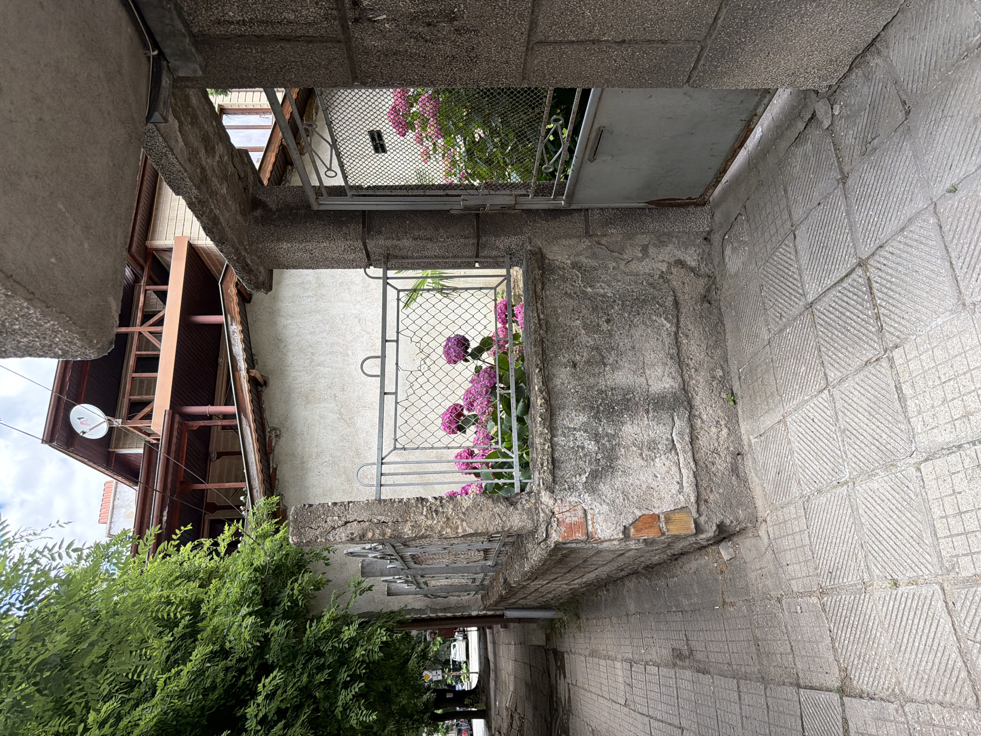 The image captures a street-level view of a building's entrance and adjacent sidewalk in Pazardzhik, Bulgaria. The foreground is dominated by a tiled sidewalk with a repeating geometric pattern. To the right, a weathered, grey metal gate is ajar, revealing a glimpse of pink hydrangeas behind a chain-link fence. The fence also borders a low, concrete and brick wall. Behind this wall and fence, more pink hydrangeas are visible. To the left of the gate and wall, the sidewalk continues, bordered by a paved path and a mature tree with dense green foliage. In the background, a multi-story building with a prominent satellite dish on its roof is visible. The architecture suggests a residential or mixed-use property. The scene appears to be a quiet urban setting during daylight hours.