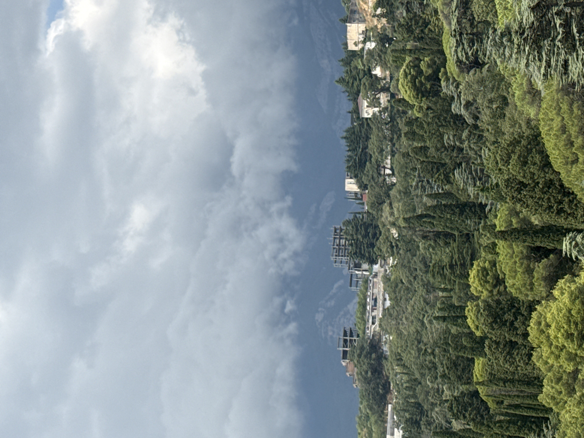 The image depicts a dense, verdant forest covering a hillside, with a dramatic, overcast sky dominating the upper portion of the frame. In the mid-ground, several buildings are visible, some appearing to be under construction or in a state of disrepair, with exposed structural elements. Other buildings appear to be complete structures, possibly residential or commercial. The architecture is varied, with some structures having a more modern appearance and others suggesting older construction. The forested slopes are thick with a variety of trees, including numerous tall, conical evergreens and broader, leafier trees, creating a rich tapestry of green hues. The overall impression is one of a natural landscape interacting with human development, possibly in a hilly or mountainous region within the Массандровский поселковый совет, Ukraine. There are no people visible in the image, and no specific actions or interactions are depicted. The environment appears to be a humid, possibly temperate, climate, given the lushness of the vegetation. The lighting suggests either early morning or late afternoon, or a day with significant cloud cover.