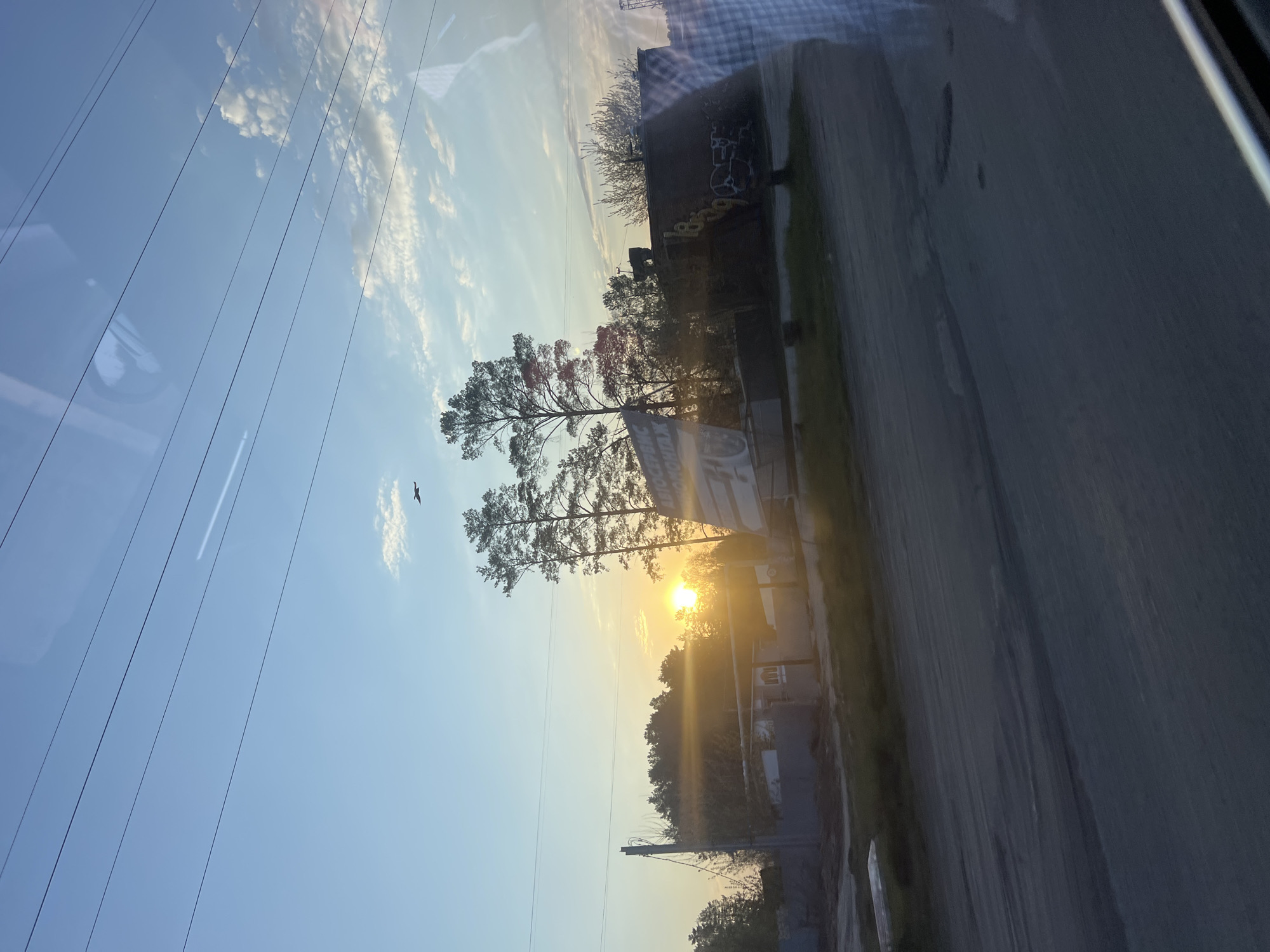 The image shows a street scene taken at sunset in what could be the city of Chaikovsky, Russia, although there's no definitive confirmation within the image itself. A road or sidewalk is visible in the right foreground. A building with graffiti is on the street. Power lines run across the blue sky. Trees are silhouetted by the sun, which is low on the horizon and partially obscured by the trees. A bird is flying in the sky. The photo appears to have been taken from inside a vehicle, given the reflections on the window in the upper left and right edges. The sky is blue with some clouds. The sun appears to be setting toward the center of the view.
