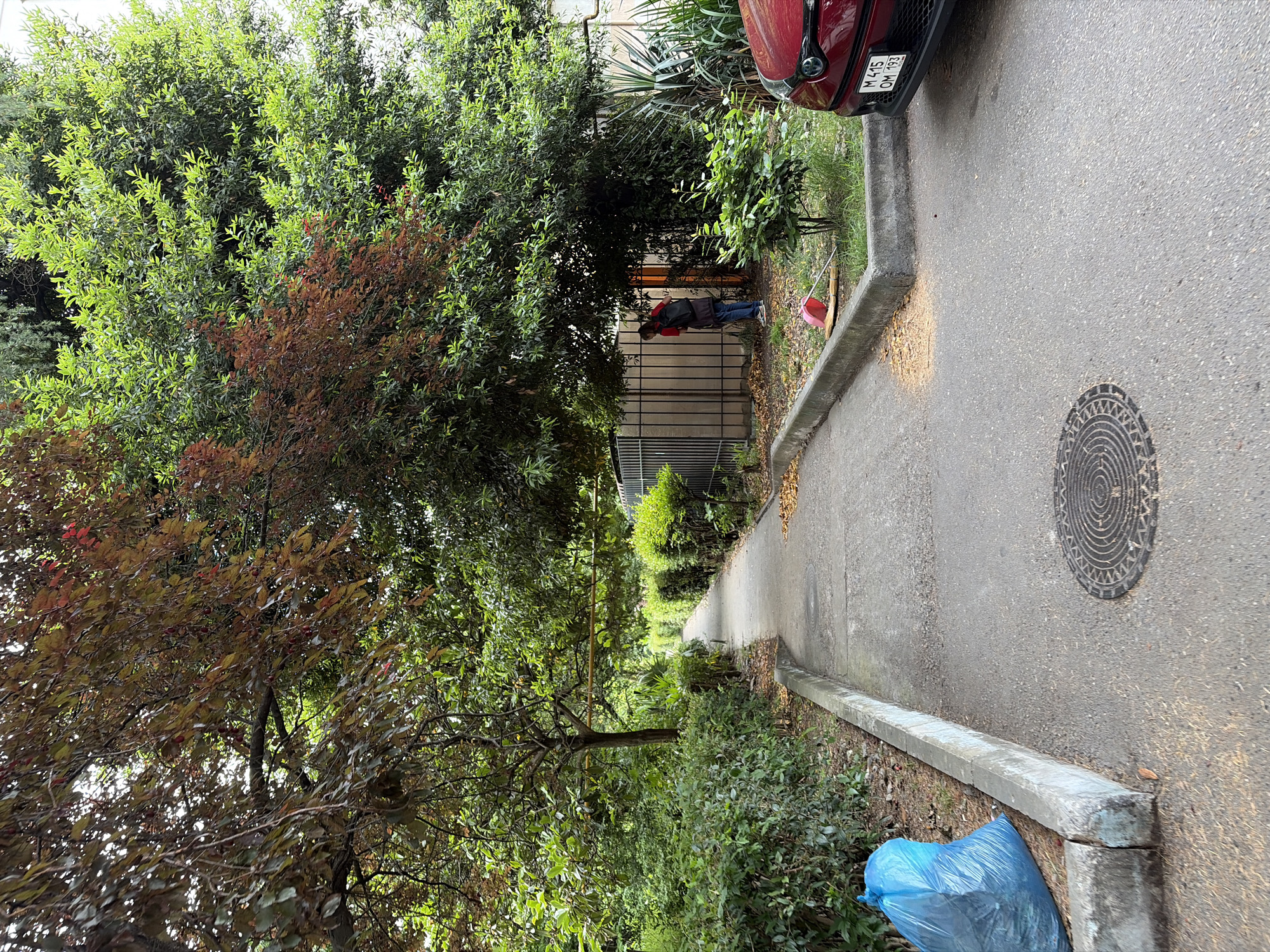 This image depicts a residential street in Sochi, Russia, characterized by lush greenery and a paved pathway. A person, wearing a red shirt and black backpack, is bent over near a fence, seemingly engaged in some activity. A red car is parked on the right side of the frame, its license plate visible. A blue garbage bag sits on the left side of the pathway. The scene appears to be an outdoor urban environment with trees and bushes lining the walkway.