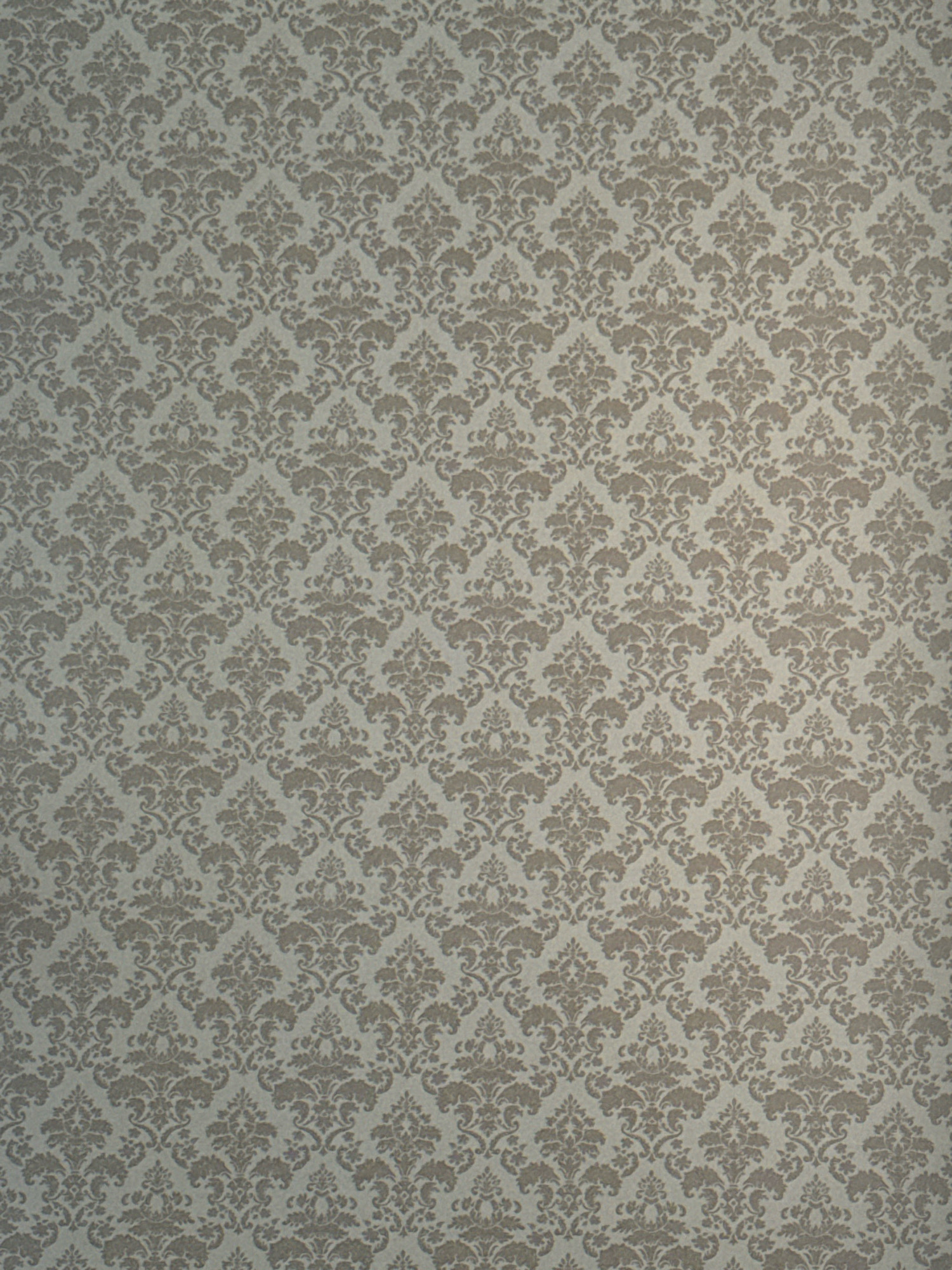 The image shows a close-up of a damask wallpaper pattern. The pattern is in a neutral color palette, with a light background and a darker shade for the repeating ornate motif. The design consists of stylized floral elements and scrollwork, arranged in a symmetrical and repeating fashion. The wallpaper appears to be slightly textured. There are no people or objects visible in the image. The image does not provide any information about its location in Horki, Belarus.
