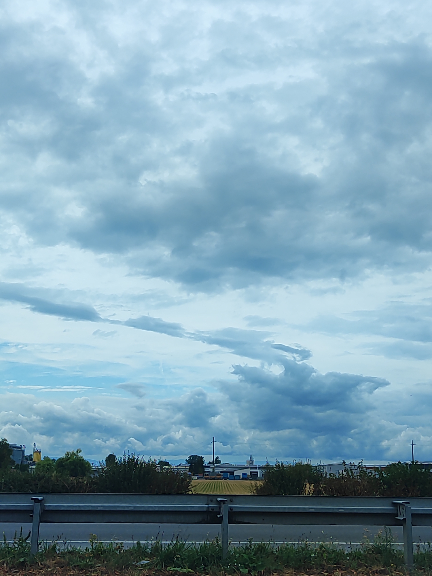 The image captures a cloudy sky over an industrial or rural area in Friesenheim, Germany. A grey metal guardrail runs horizontally across the foreground, separating a paved road from the vegetation and landscape beyond. In the middle ground, a line of green trees and bushes is visible, behind which lie fields of crops and various industrial buildings with some silos. A single utility pole with wires is present on the right side of the frame. The sky is filled with a mixture of white and grey clouds, with some lighter blue patches indicating a break in the cloud cover. The overall impression is one of an overcast day.