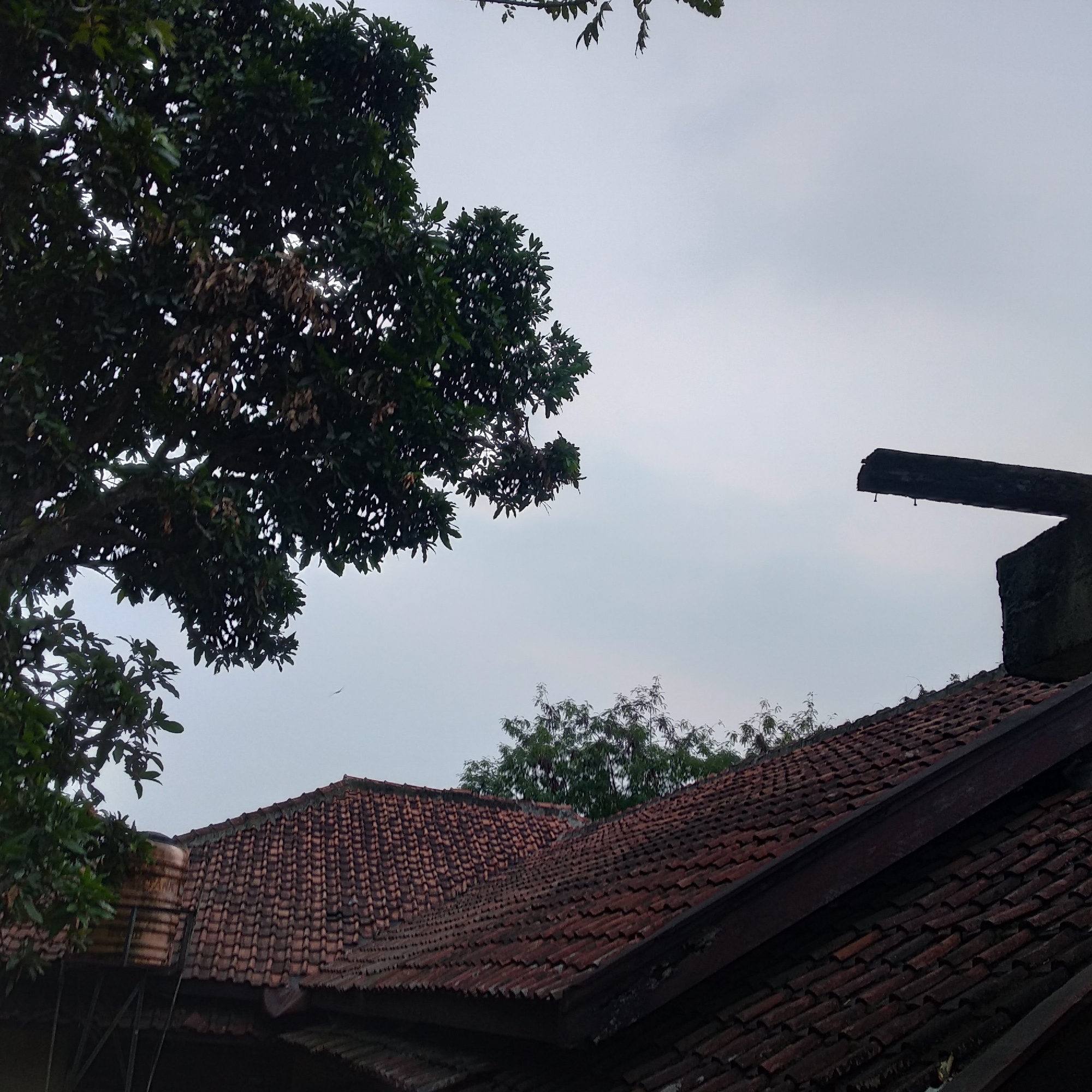 The image depicts a rooftop scene in Balaraja, Indonesia, under an overcast sky. In the foreground, a dark, tiled roof extends diagonally across the frame. To the left, a large tree with dark green foliage dominates the upper portion of the image, with some dried leaves visible within its canopy. In the midground, another section of a tiled roof is visible, appearing older and slightly discolored. A brown water tank on a metal stand is situated to the left of this section of the roof. In the upper right quadrant of the image, a dark concrete structure protrudes horizontally from a larger concrete base, situated above the rooftops. In the distance, a line of trees with lighter green foliage can be seen. The overall scene suggests a residential or semi-urban environment.