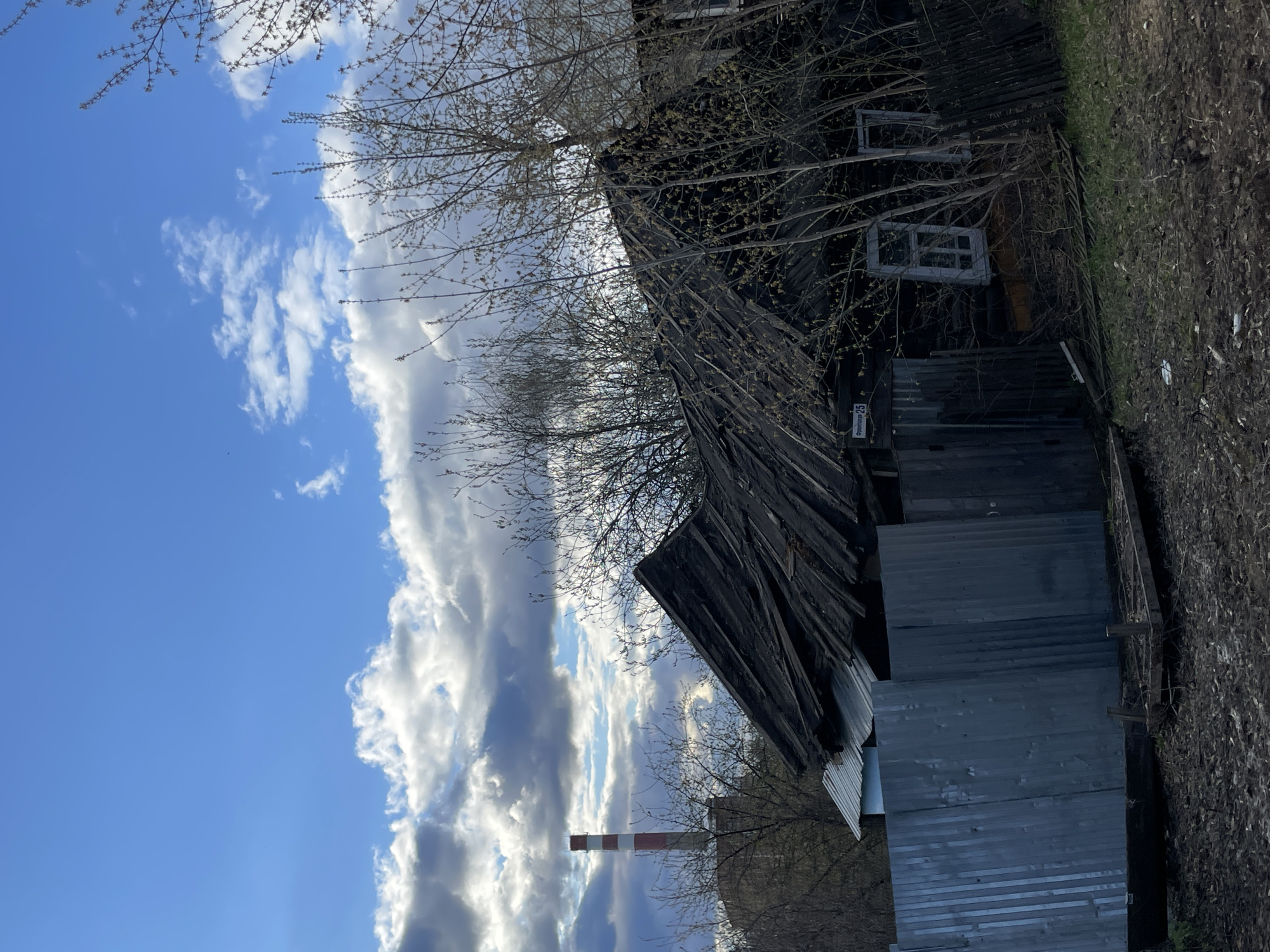The image depicts an outdoor scene in what appears to be an older, semi-industrial or residential area. The primary subject is a dilapidated, dark wooden building with a corrugated metal roof, dominating the right and central portions of the frame. The building's wooden planks are weathered, and multiple windows, some appearing broken or aged, are visible. Bare trees with nascent light green leaves, indicative of early spring, frame parts of the building against the sky.
In the background, under a bright blue sky filled with white and grey cumulus clouds, a prominent red and white striped industrial chimney or smokestack stands tall. Another indistinct building can be seen behind the chimney. The ground in the foreground and to the right of the wooden structure is covered with dry grass and dirt.
A white rectangular sign with a blue border is affixed to the wooden building, displaying the Cyrillic text "СВЕРДЛОВСКАЯ 23," which translates to "Sverdlovskaya 23," likely indicating a street name and building number. The overall setting suggests a quiet, possibly neglected area in Izhevsk, Russia, with a mix of residential and industrial elements. The time of day is daylight, with clear skies and visible clouds. No people or active events are depicted.