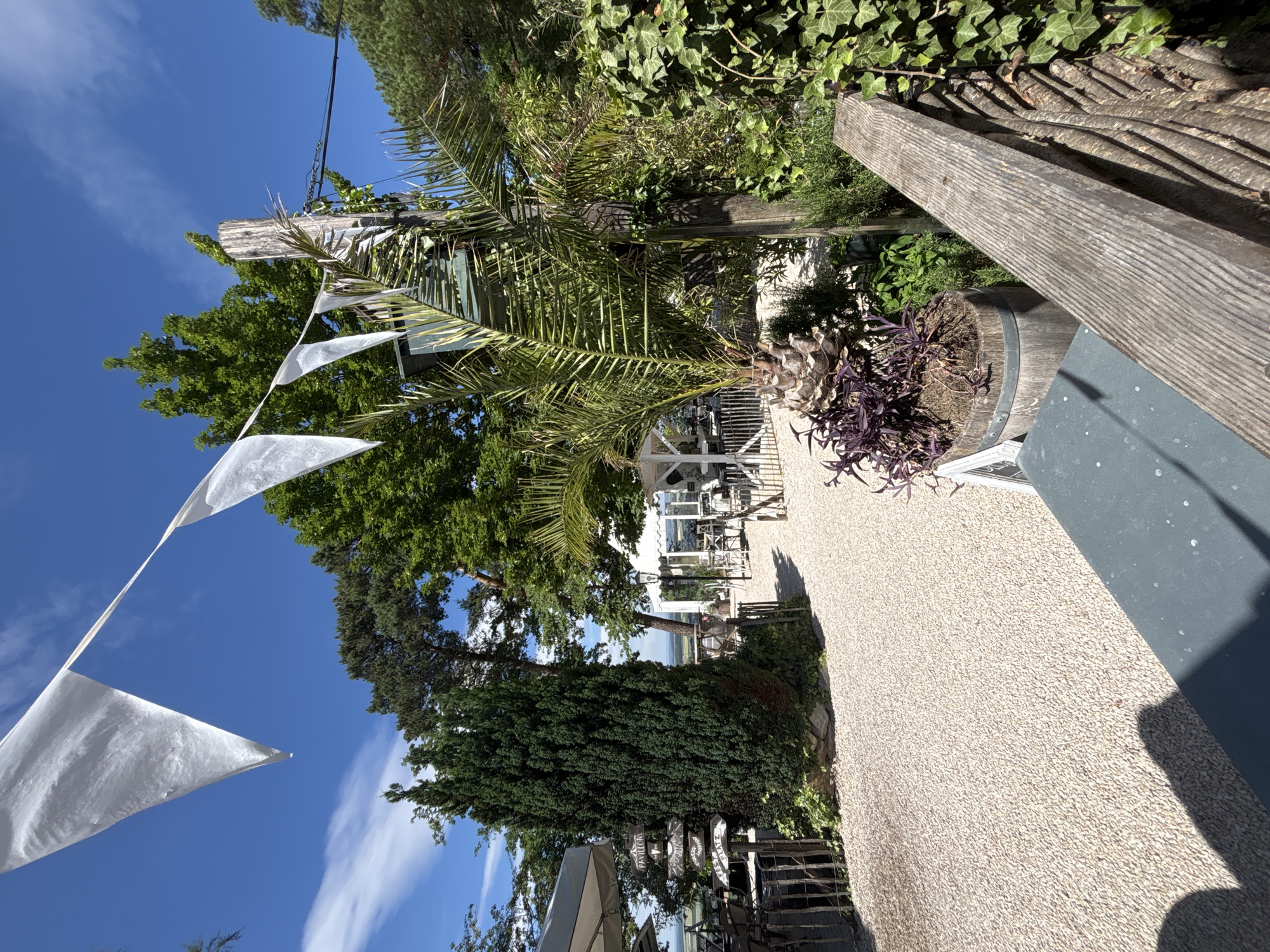 A sunlit outdoor seating area is depicted, possibly part of a restaurant or cafe, on a clear day. White triangular flags are strung across a bright blue sky. In the foreground, a textured wooden railing and a dark grey surface are visible, casting shadows on a light-colored gravel path. A large barrel planter contains a palm tree with vibrant purple foliage. Several trees, including a tall, dark green cypress and a lush deciduous tree, contribute to the verdant surroundings. Beyond the seating area, a white gazebo or tent structure with tables and chairs is visible, suggesting a place for dining or relaxation. A wooden signpost with multiple directional arrows, including "PAVILLON," "WEINBERGE," and "FEST PLATZ," stands near the cypress tree. The overall atmosphere is one of a pleasant, relaxed outdoor environment.