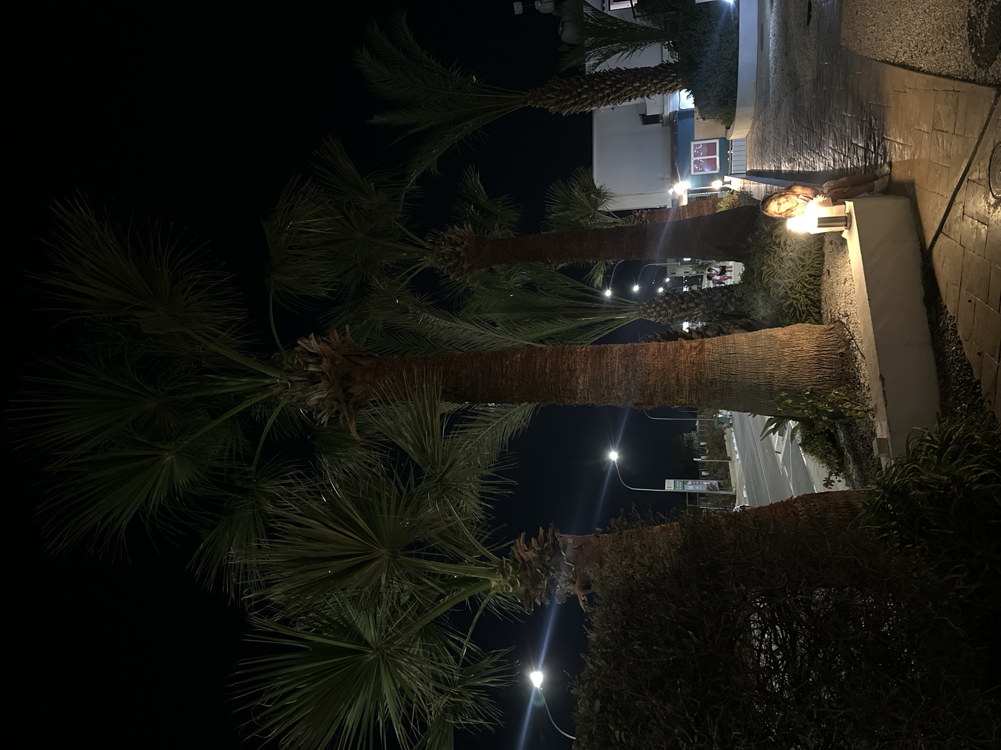 A girl is sitting on a low wall near a street lamp at night, possibly in Peyia, Cyprus. Palm trees are visible on the left and right sides of the image, with their fronds silhouetted against the dark sky. The street is dimly lit by streetlights, and there are buildings in the background. The girl is wearing a dress and is illuminated by the light of the lamp beside her. She appears to be looking at the camera. The ground is paved with interlocking stones, and there is gravel and foliage around the wall.
