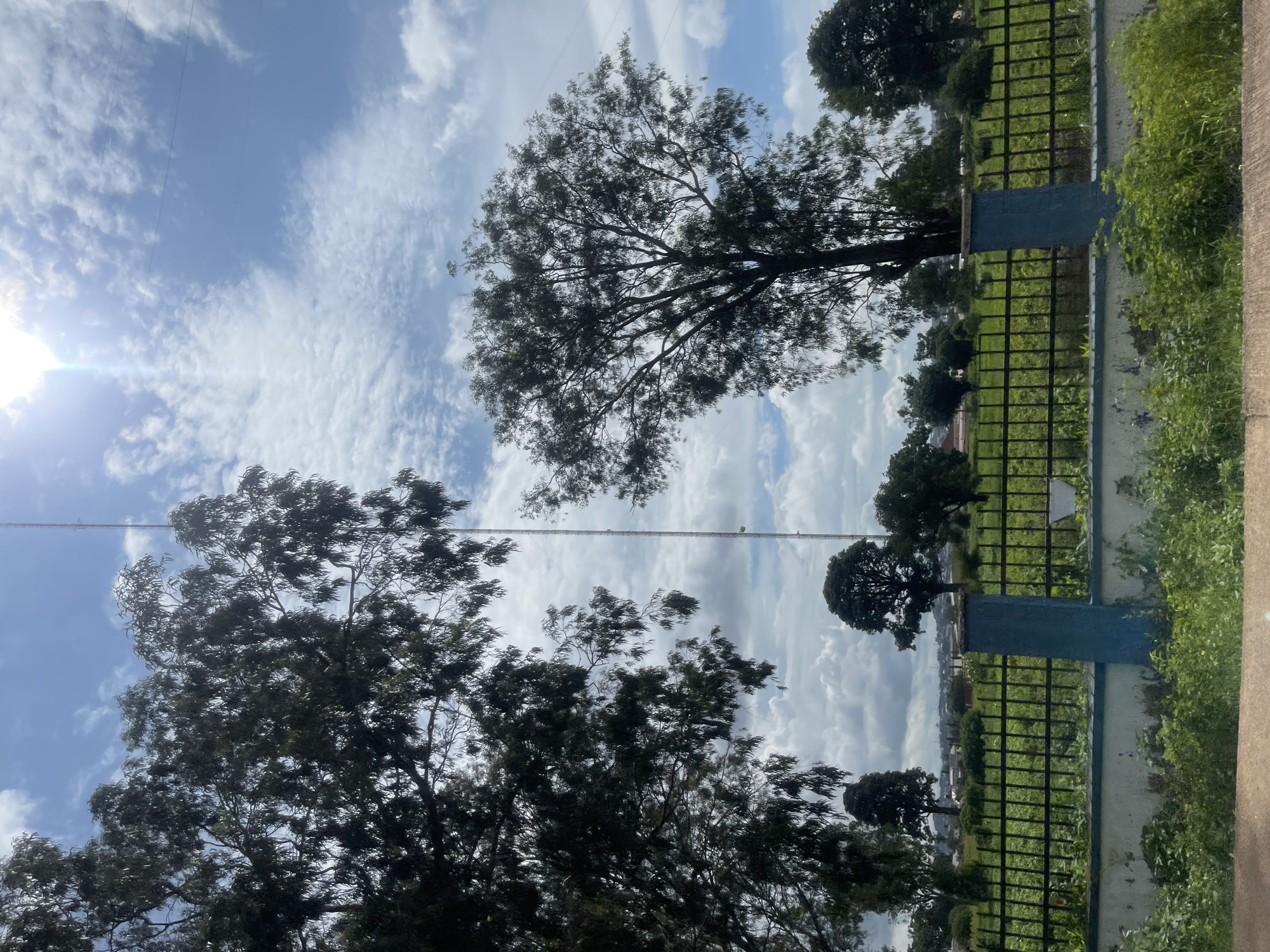 The image depicts a scene in Gura Top, Nigeria, featuring a tall, slender telecommunications tower piercing a cloudy sky. In the foreground, a dark, dense foliage of a large tree dominates the left side, its branches reaching towards the top of the frame. To the right, another mature tree with a full canopy stands against the sky, its dark leaves contrasting with the bright, scattered clouds. Between these trees, the telecommunications tower is visible, extending vertically into the upper half of the image. A black metal fence with blue-capped posts encloses a grassy field with scattered smaller trees and vegetation in the mid-ground. The background shows a distant urban landscape with buildings and more trees under the bright, sunlit sky. The overall environment suggests an outdoor setting, possibly on the outskirts of a built-up area.