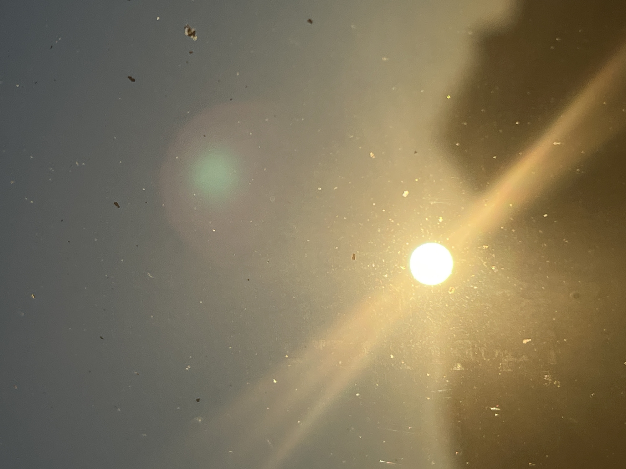 This image is a close-up photograph taken from within a dusty environment, possibly a window, looking outwards. The sun is visible as a bright, white orb in the lower center of the frame, casting a strong yellow-orange light that creates a glare and a diagonal beam stretching across the lower left of the image. In the upper portion of the image, a faint green lens flare is present. The overall background appears to be a hazy sky with a gradient from a lighter tone near the sun to a darker, greyish-blue at the top. Numerous small, dark specks, which appear to be dust or dirt particles, are scattered throughout the entire image, obscuring parts of the scene. In the lower part of the frame, a blurry, dark silhouette of trees or foliage is visible, indicating an outdoor setting beyond the dusty barrier. The location in Kohtla-Järve linn, Estonia, is not directly discernible from the visual elements within the photograph itself.