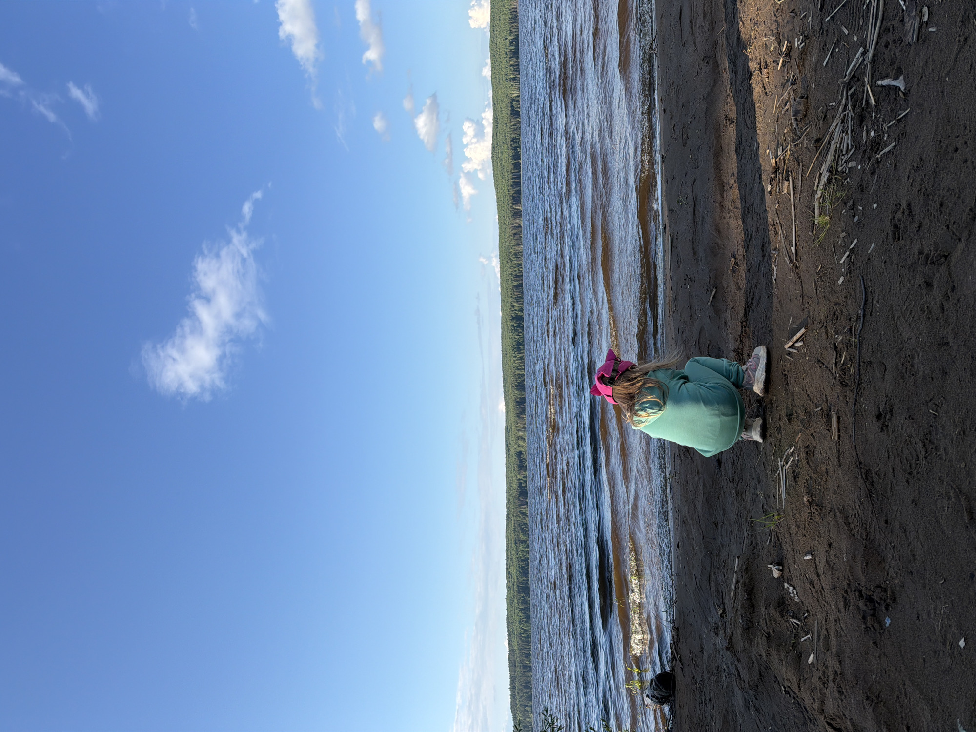 The image displays an outdoor natural landscape featuring a person on the bank of a large body of water, under a bright blue sky with scattered white clouds.
In the foreground, a dark, sandy or muddy shoreline is visible, extending along the water's edge and containing scattered natural debris like twigs and small branches. On the right side, a person, likely a child, is crouched or sitting on the bank, facing towards the water. They are dressed in a pink hat or cap, a teal or mint green long-sleeved top, and light-colored shoes. Their posture suggests quiet observation of the water or the immediate surroundings.
The middle ground is dominated by a wide expanse of water, possibly a lake or a large river, with visible ripples and small waves on its surface. Across the water, a dense, continuous line of green forest forms the horizon, indicating an opposite bank or distant shore. The upper portion of the image is filled with a clear, vivid blue sky dotted with fluffy white clouds.
The scene is brightly lit, suggesting a sunny day, likely during late morning or afternoon, with subtle shadows indicating direct sunlight. There is no visible text in the image. This serene natural setting is consistent with the provided location context of Chaikovsky, Russia, which is situated near the Kama River and its reservoirs.