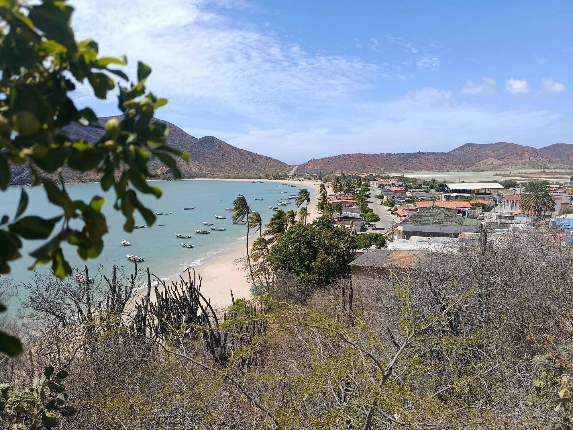 The image shows an elevated view overlooking the city of Juan Griego, Venezuela, with a bay visible. In the foreground, there is dry vegetation and cacti on a hillside. Beyond the vegetation, a sandy beach lines the bay. A number of small boats are anchored in the water. Palm trees dot the shoreline. Inland, a town with buildings and a road stretches towards distant hills. The sky is blue with scattered clouds. A leafy branch partially obscures the view on the left side.