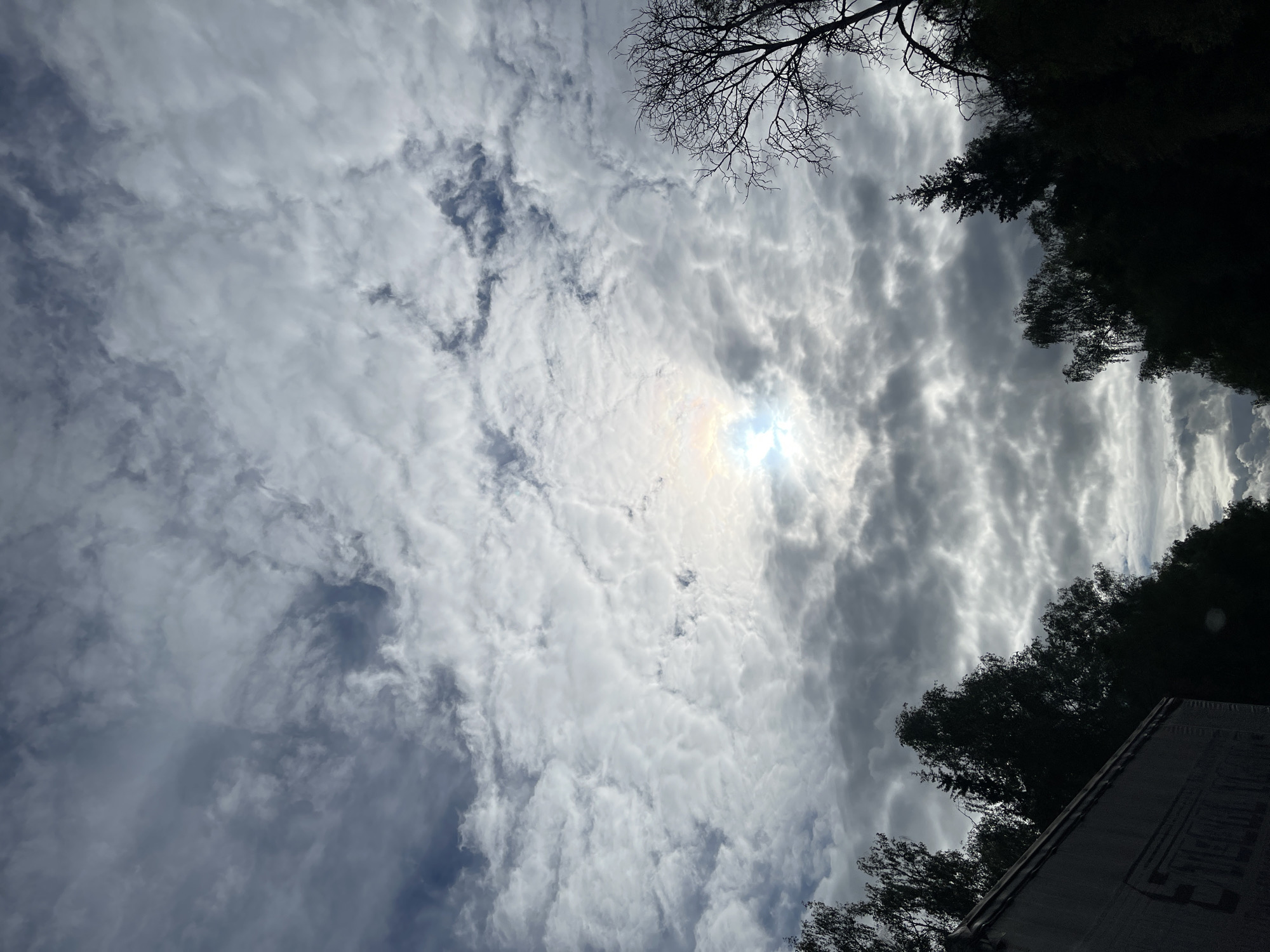 The image is a low-angle shot looking up at a cloudy sky. The clouds are predominantly white and gray, with some patches of blue sky visible in the left part of the image. The sun is partially obscured by the clouds, creating a bright spot with a rainbow effect. Silhouetted trees and branches are visible in the top right and top center of the image. The bottom right corner shows a glimpse of a light-colored building structure. While the image does not offer specific details linking it to Ivanovskoye, Russia, it depicts an overcast sky with elements of nature and architecture. There are no people visible.