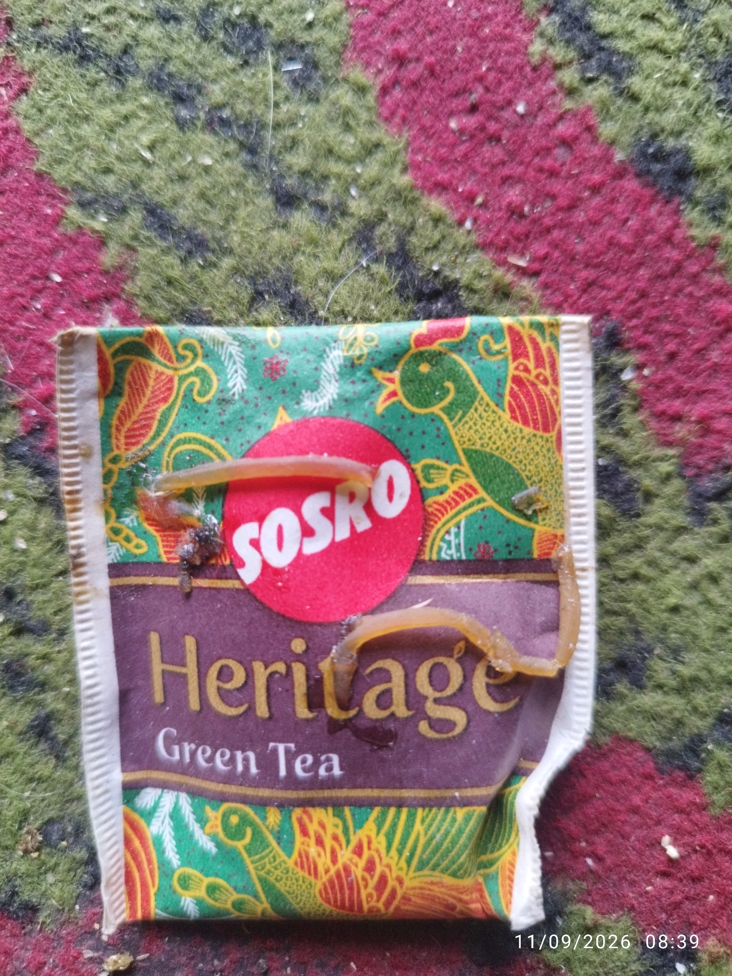 The image shows a close-up, overhead view of a single tea bag packet of "Heritage Green Tea" by SOSRO. The packet is placed on a carpet with a red, green, and black patterned design. Two small, light-colored, segmented worm-like organisms are visible on the tea bag packet. One organism is curled and crosses diagonally over the red SOSRO logo, while the other is partially visible to the right of the packet. The packet is slightly creased and appears to be in a state of disarray. The image also contains a timestamp in the bottom right corner: "11/09/2026 08:39". The provided context about Mojokerto, Indonesia, is not visually represented in the image.