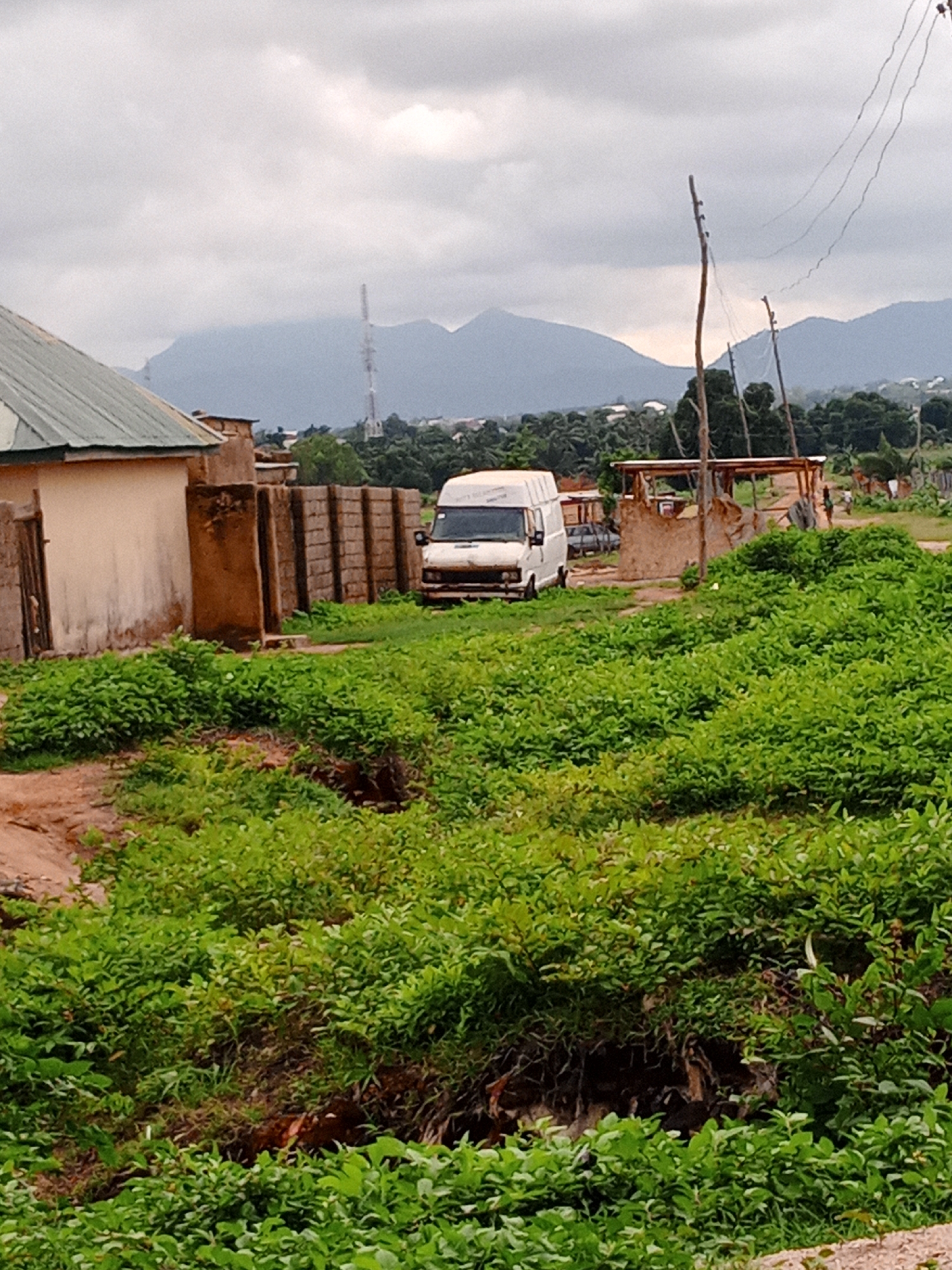 A white van is parked in front of a brick wall in an outdoor setting. The van is facing forward, with its headlights visible. Behind the van, there is a brick wall, and beyond that, there are trees and buildings. The sky is overcast, and there are mountains in the distance. The foreground is filled with green foliage.