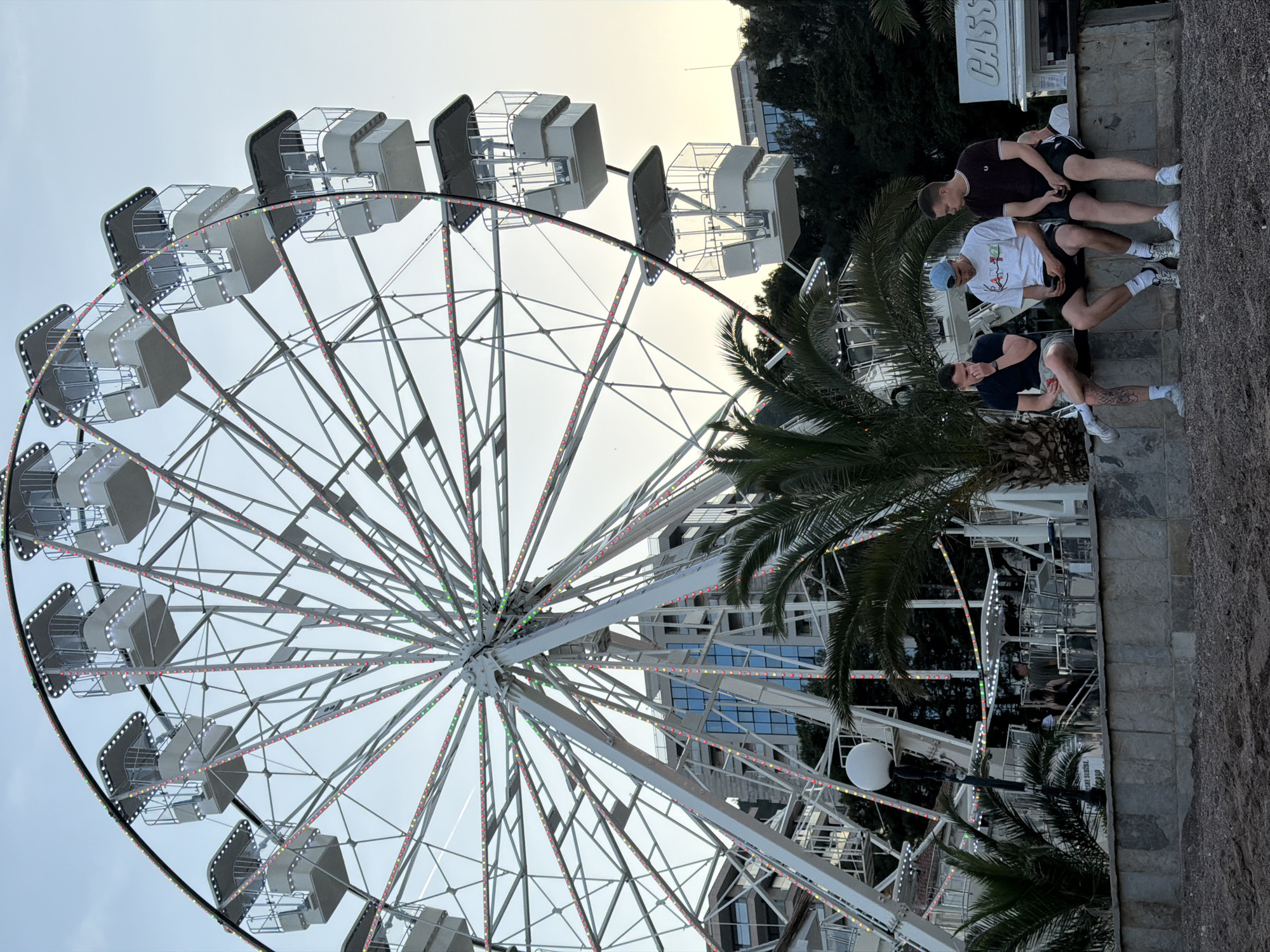 A vibrant scene unfolds at what appears to be an amusement area or fairground during the golden hour or dusk. A large, brightly lit Ferris wheel dominates the left side of the frame, its white and grey gondolas illuminated by multi-colored LED lights along its spokes and rim. The intricate metal structure of the wheel is clearly visible against a light, clear sky.
On the right side of the image, three young men are seated casually on concrete steps or a low wall. The man in the foreground wears a dark t-shirt and light shorts, with tattoos visible on his leg. He looks towards the left. The middle man has a white graphic t-shirt, light shorts, and a light blue baseball cap, looking downwards. The third man, further back, wears a dark polo shirt and dark shorts, looking straight ahead. All three are dressed casually in sneakers and shorts, appearing relaxed.
Lush green palm trees are scattered throughout the scene, adding a tropical touch, with some fronds visible in the foreground, midground, and behind the men. In the background, behind the Ferris wheel and trees, modern buildings with reflective windows are visible. The artificial lights on the Ferris wheel and around the area are prominent, suggesting the transition from day to evening.
A partially visible sign behind the men displays the text "CASS" or "CASSA", possibly part of a business name like "CASINO". The ground where the men are seated consists of paved concrete and gravel, characteristic of an outdoor recreational space in a coastal town like Budva, Montenegro.