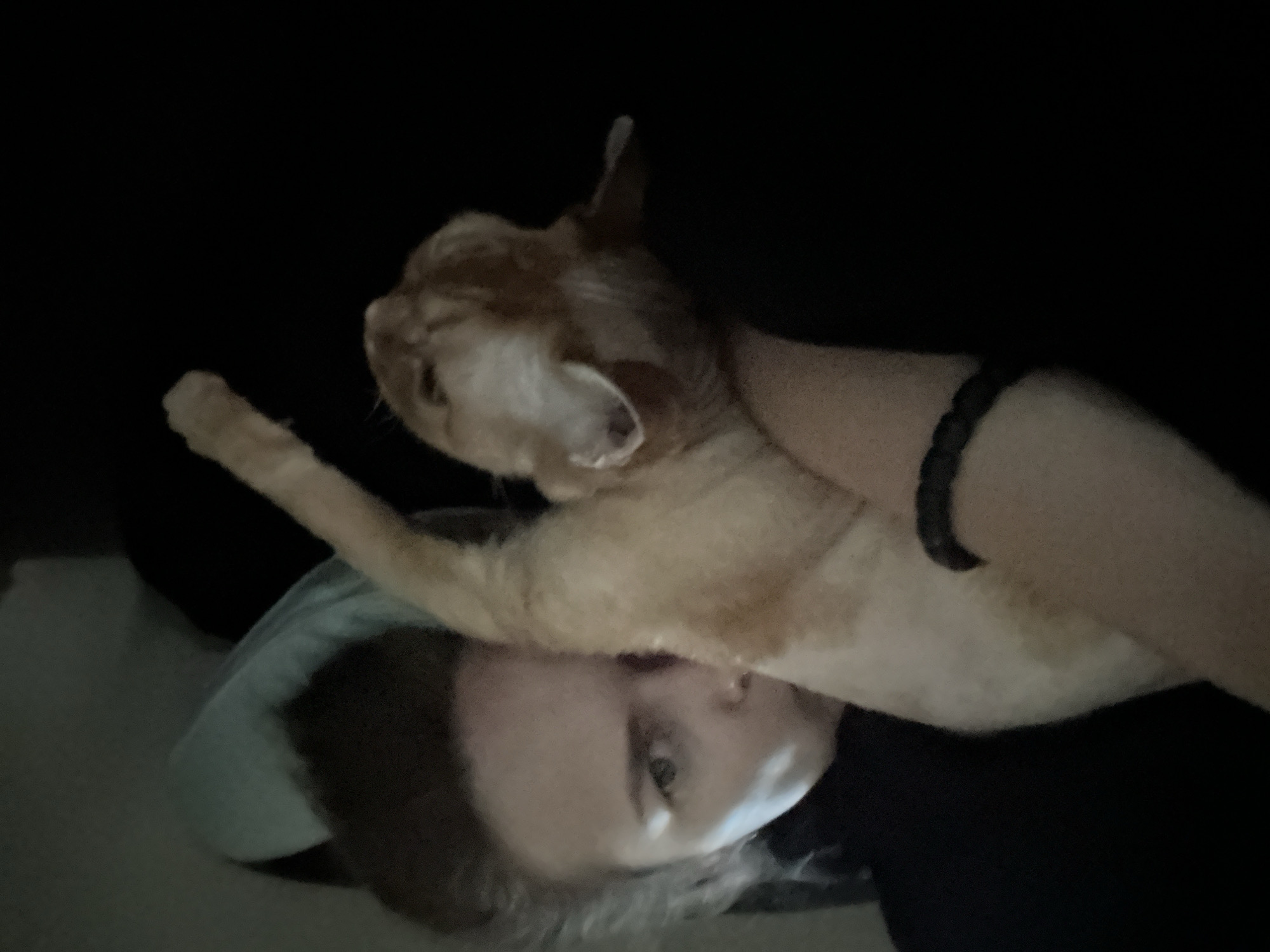 The image depicts a person and a cat lying down together, partially obscured by darkness. The person, whose face is visible, appears to be looking towards the camera with a neutral expression. Their hair is dark and appears to be resting on a light-colored pillow. The cat, an orange tabby, is curled up against the person, with its head resting on the person's arm. The person is wearing a dark garment, and a dark bracelet is visible on their left wrist. The background is dark, with a hint of a wall and a pillow. The scene suggests an intimate moment of rest or relaxation. The location of this scene is identified as Cape Coral, United States of America.