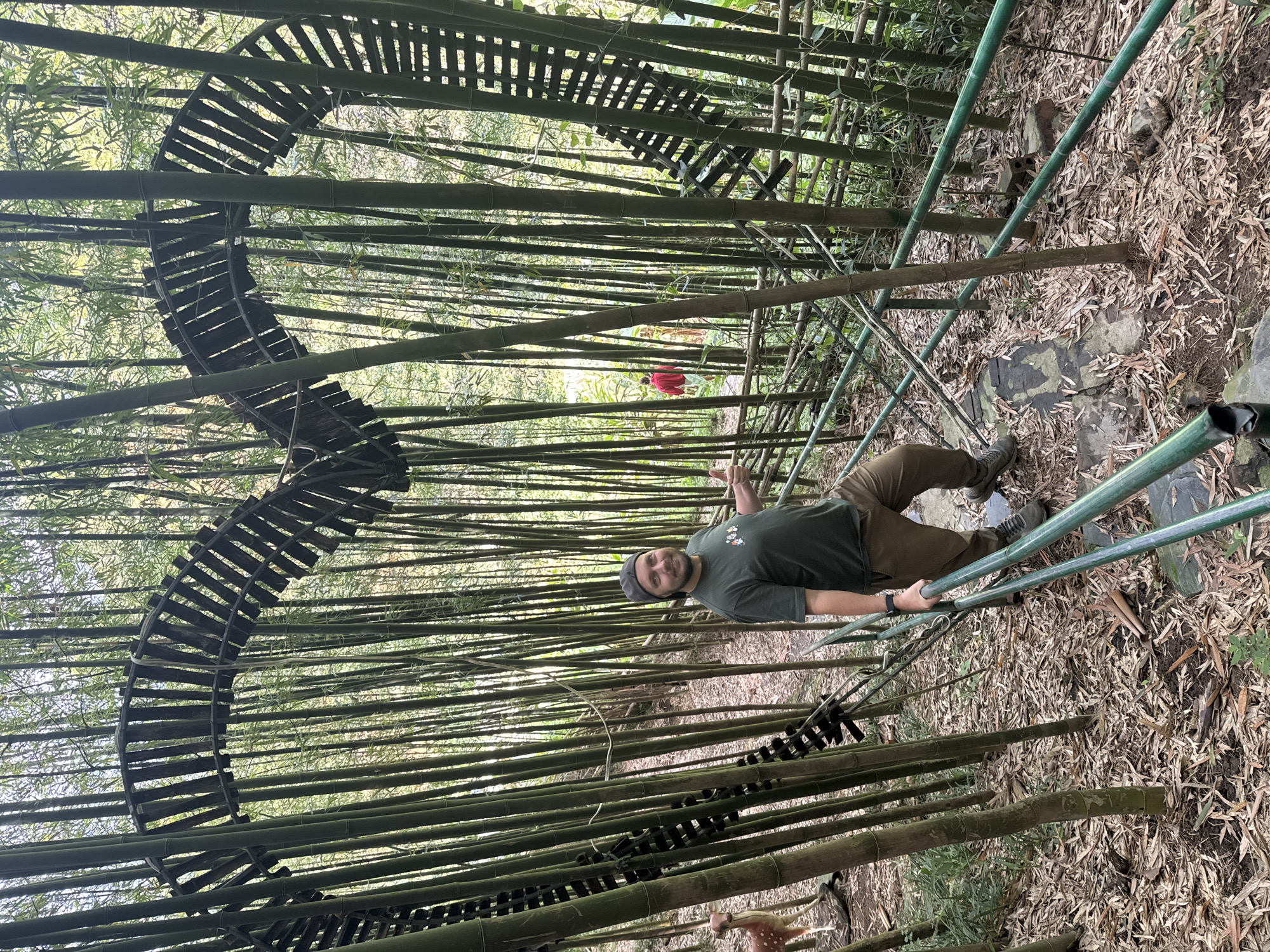 The image shows a man standing in a dense bamboo forest, likely in Ngã Ba Kim, Vietnam, given the prompt. The man is light-skinned, wearing an olive green t-shirt, khaki pants, and a dark cap. He is giving a thumbs-up gesture. He is standing on what appears to be a series of green metal poles, possibly a constructed pathway or support structure within the bamboo forest.
Above him, a curving, elevated wooden walkway or structure winds through the bamboo stalks. The ground is covered in fallen leaves and debris, typical of a forest floor. The bamboo is the dominant feature of the environment, creating a tunnel-like effect.