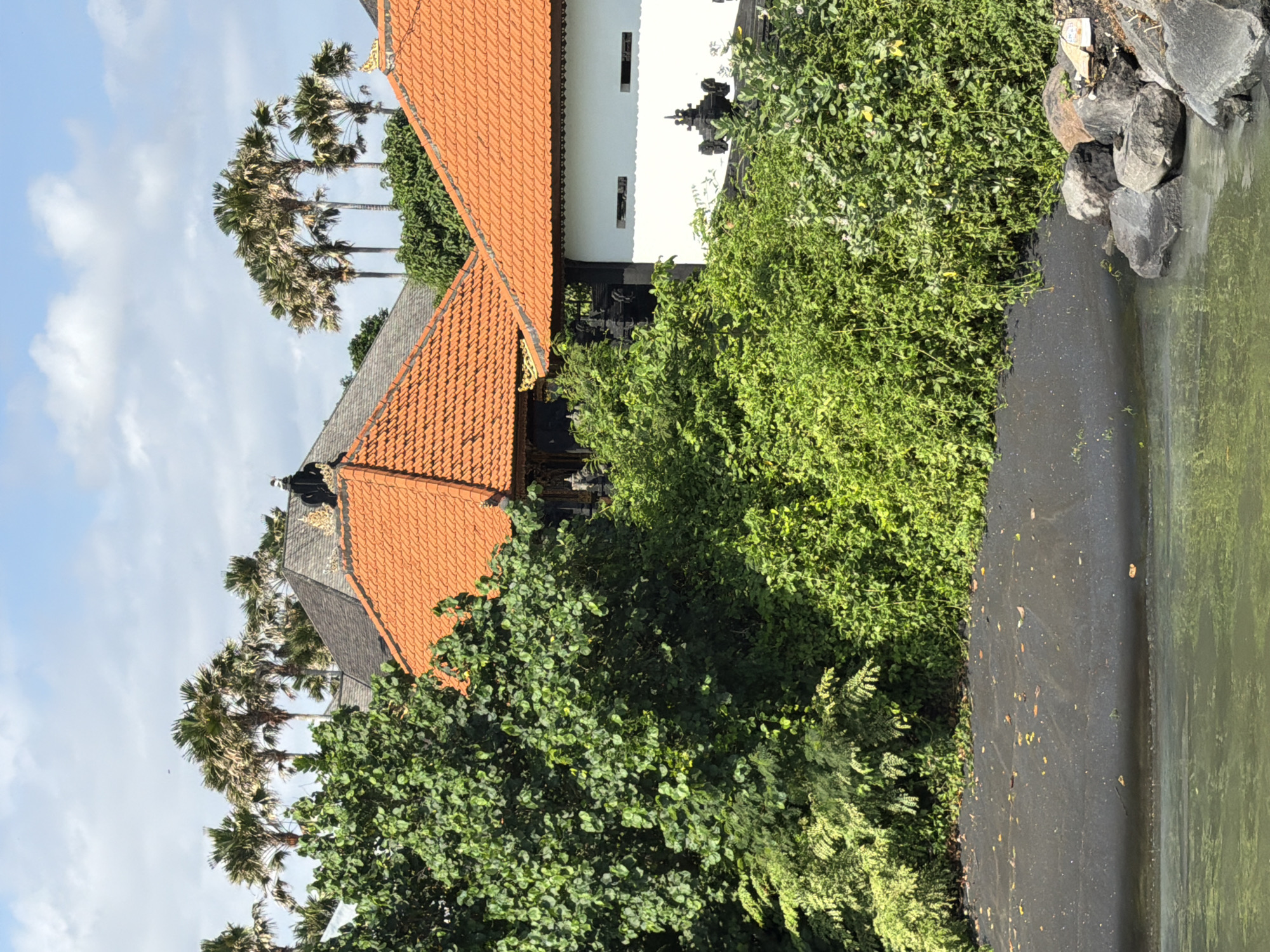 The image shows a view of a waterfront in Mengwi, Indonesia, with lush green foliage in the foreground obscuring some traditional Balinese architecture. The architecture features orange tiled roofs and white walls with dark decorative elements. Several palm trees are visible above the buildings, reaching towards a blue sky with scattered clouds. The waterfront itself is a strip of dark sand, with some rocks and debris visible at the edge of the water. The water in the foreground is murky green. The scene appears peaceful and tropical.