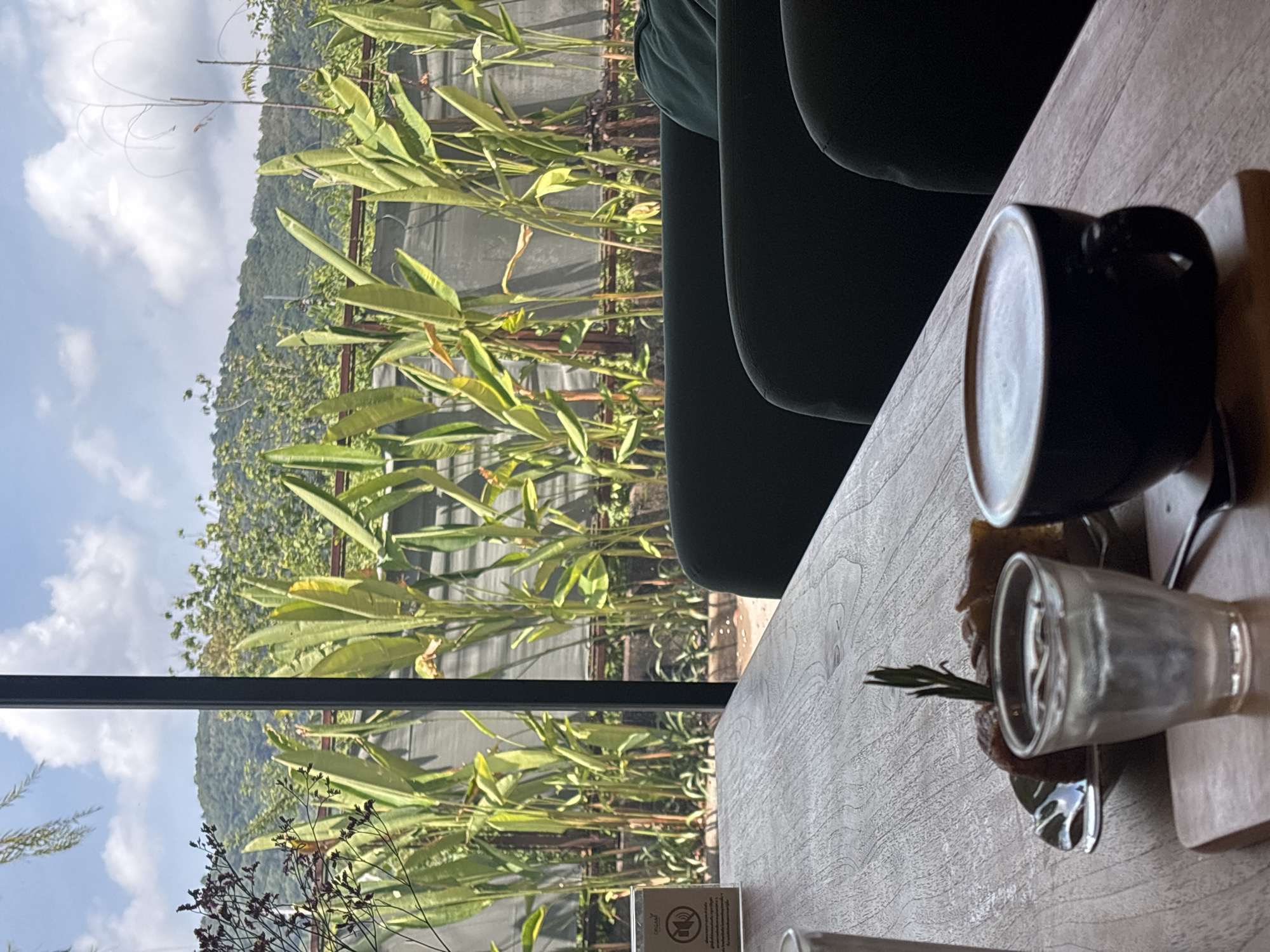 The image presents a tranquil scene, looking from an indoor setting out onto a vibrant natural landscape through a large window. In the foreground, on the right side, a light-colored wooden table features a black ceramic mug with a beverage displaying latte art. Next to it, a small, clear glass holds a fresh sprig of rosemary, possibly part of a drink or garnish for a dessert which is partially obscured beneath the glass. A dark green upholstered armchair or sofa is visible on the upper right, indicating comfortable seating.
The left side of the frame is dominated by a large window, offering a view of dense tropical foliage, including prominent plants with long, broad green leaves directly outside. Beyond these plants, a range of lush, tree-covered mountains stretches into the distance. The sky above is bright with scattered white clouds, suggesting it is daytime, likely late morning or early afternoon. The natural light illuminates the scene, creating a peaceful and inviting atmosphere.
On the table, near the bottom center and close to the window frame, there is a small, clear acrylic sign. It displays an icon of a phone with a diagonal line through it, indicating a "no phone calls" or "silent zone" policy. Below this icon, there is text written in Thai script, though it is too blurry to decipher specifically. The overall impression is one of relaxation, enjoying a beverage in a serene environment with a picturesque natural backdrop, aligning with the scenic beauty of Choeng Thale, Thailand.