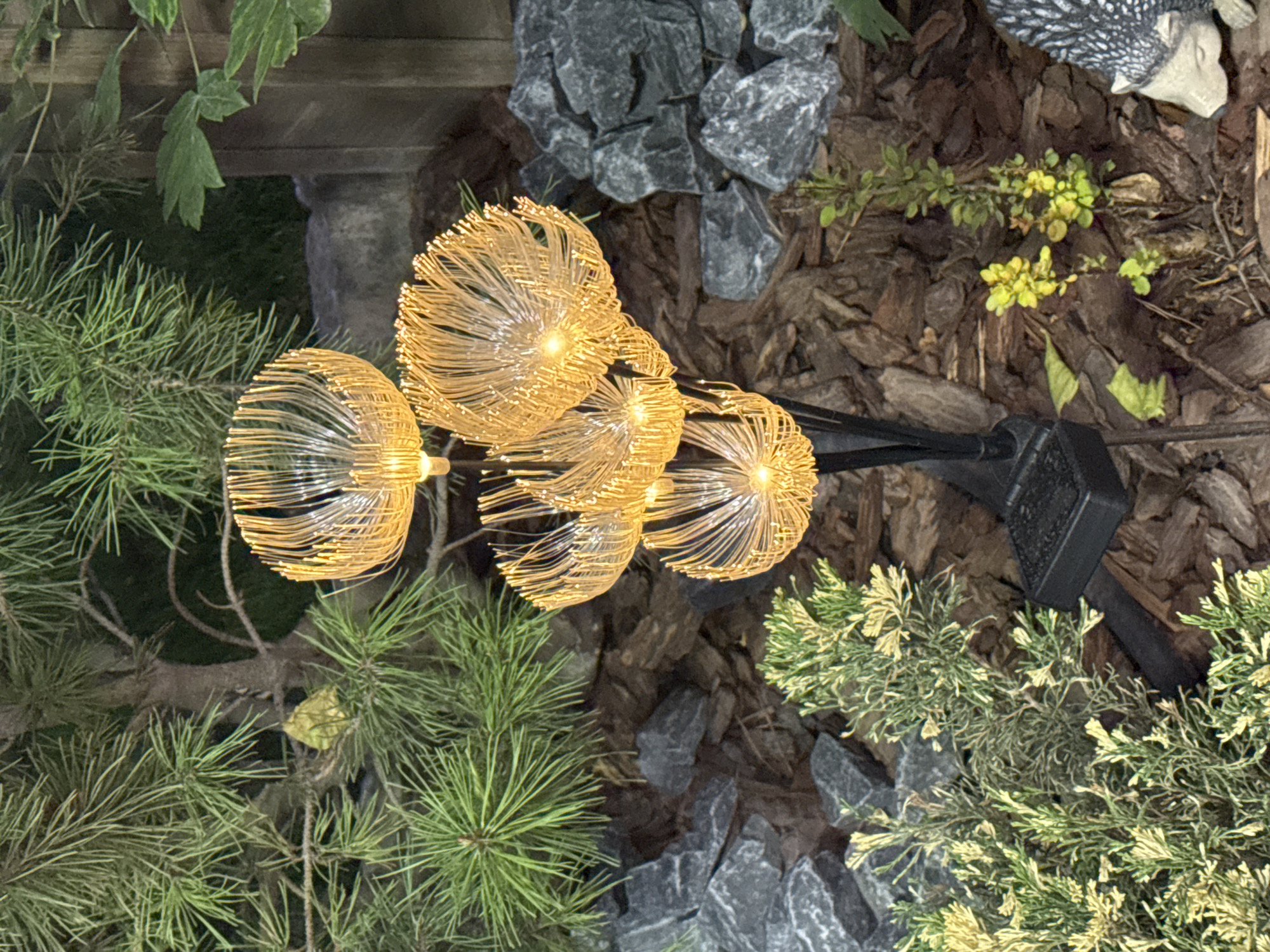 This is a medium shot, eye-level photograph taken outdoors at dusk. The scene depicts a garden landscape featuring decorative lights shaped like dandelion seed heads, illuminated with a warm yellow glow. These lights are mounted on a black stalk with a solar panel at its base, placed in a bed of dark brown mulch. The mulch is interspersed with gray stones of various sizes.
In the background, a portion of a pine tree with long, green needles is visible, its brown bark and branches providing a natural backdrop. To the right, a wooden fence post and some green leaves from another plant are present. In the foreground and mid-ground, there are various low-lying green and yellowish-green plants. A small decorative garden figurine resembling a hedgehog is partially visible on the lower right side of the image. The lighting suggests it is either early morning or late evening. The overall impression is that of an illuminated garden feature within a naturalistic setting.