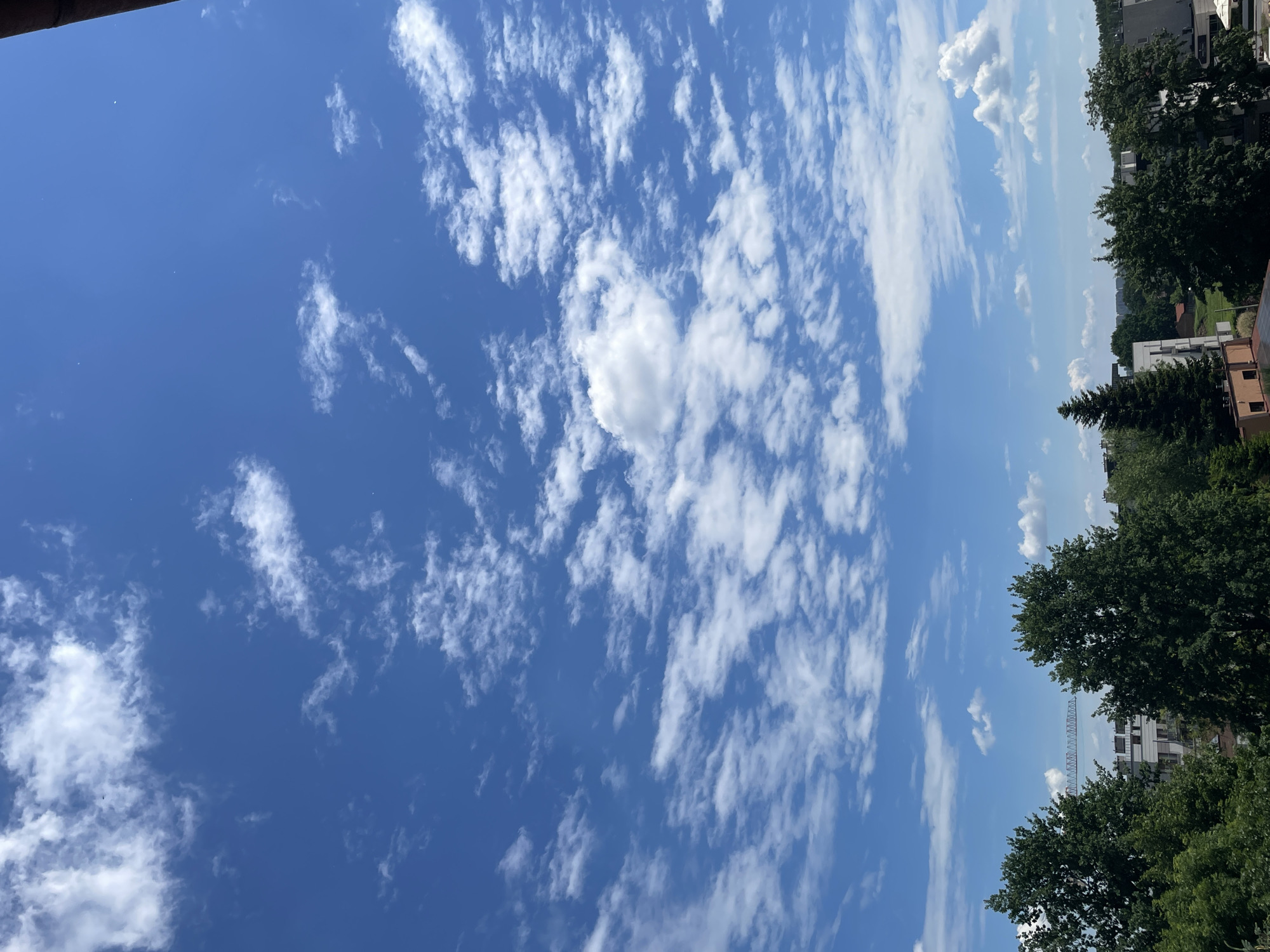 The image displays an outdoor, daytime scene observed from an elevated perspective, primarily featuring a bright blue sky with scattered white clouds. The upper two-thirds of the frame is occupied by a deep azure sky, containing numerous white cloud formations that vary from thin, wispy streaks to more dense, puffed masses. A small, dark, oblong speck, consistent with a distant bird or insect, is visible against the blue sky in the upper-left quadrant.
The lower third of the image reveals an urban or suburban landscape dominated by a lush, green canopy of mature deciduous trees. Interspersed within and behind the tree line are several multi-story buildings, mostly light-colored (white or grey) with flat roofs. A building in the lower-left quadrant exhibits a distinct reddish-brown upper section, and another nearby structure features visible solar panels on its roof. A prominent dark green coniferous tree is situated on the left side, slightly above the building line.
In the mid-ground, horizontally positioned above the tree line and in front of more distant structures, is a distinctive grey metal truss structure, characteristic of a bridge or a large industrial framework. A dark structural element, likely a building edge, is partially visible along the extreme upper-right perimeter of the image. The scene is illuminated by direct sunlight, indicating clear weather conditions during a warm season. No individuals are discernible within the frame. The location is an unknown city, unknown region.