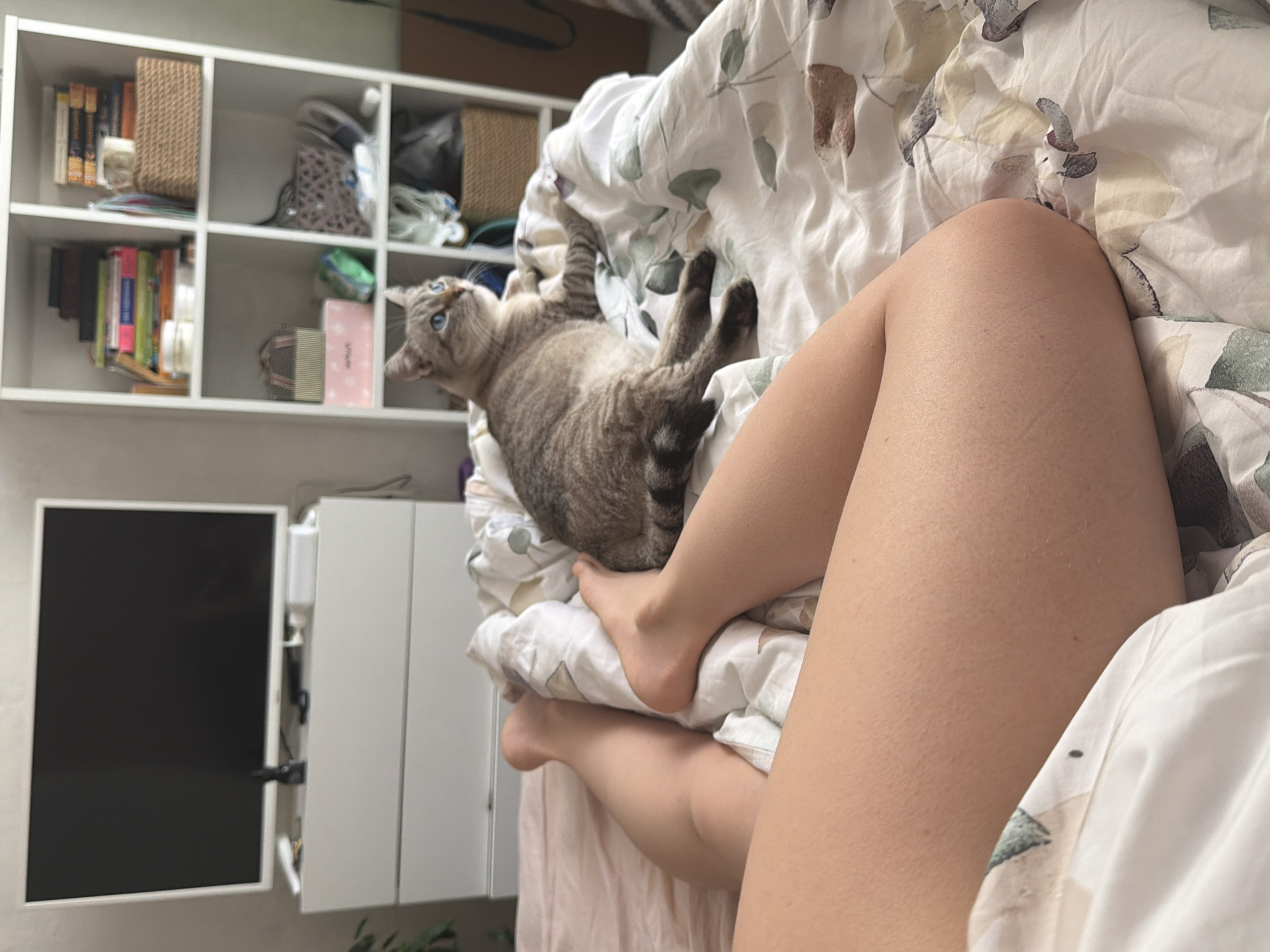 A domestic shorthair cat with gray tabby markings and blue eyes lies on a patterned duvet. A fair-skinned human leg is also visible on the bed. In the background, there is a white shelving unit containing books and baskets, and a black monitor mounted next to a white cabinet. The location is not discernible from the image and cannot be identified as Perm, Russia.