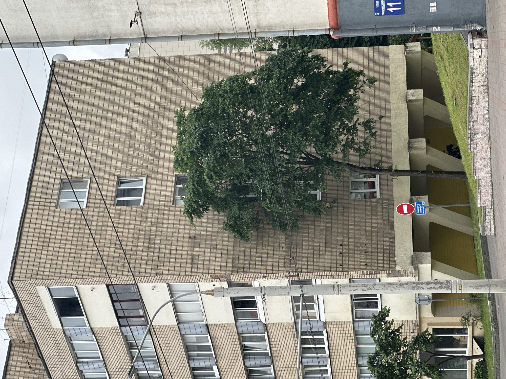 The image depicts a street scene in Minsk, Belarus, focusing on a multi-story brick apartment building. The building's facade is composed of light brown, textured bricks. Several windows are visible, some with closed blinds and others open. A large, leafy green tree stands in front of a section of the building. A light pole with a curved arm is positioned on the left side of the image, partially obscuring the building. Further to the right, another building with a lighter facade is visible, with a gray pipe running vertically down its side. A street sign with the number "11" in a blue rectangle is affixed to this second building. In the foreground, a grassy slope leads up to the building, with a low brick wall at its base. The sky is overcast. The scene appears to be a residential area in the city.