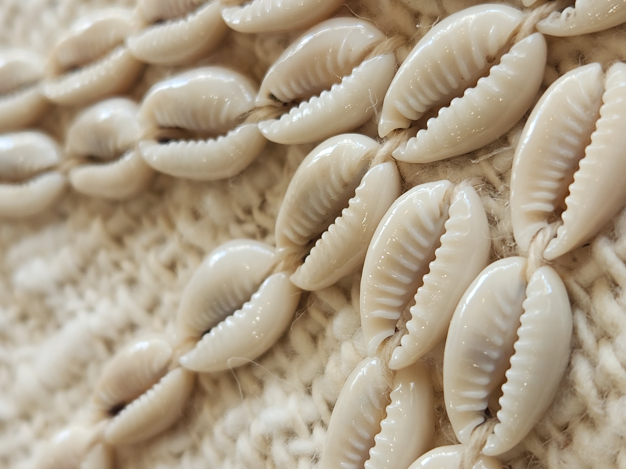 The image is a close-up, shallow depth of field shot of a string of cowrie shells threaded onto twine, resting on a textured, cream-colored woven surface. The shells are a creamy white and have visible ridges along their open edges. The twine passes through the natural openings of the shells, stringing them together. The lighting highlights the glossy finish of the shells and the texture of the woven background, creating a soft, diffused effect. There are no people or discernible landmarks in the image, making it impossible to determine a specific location within Maitland, United States of America.