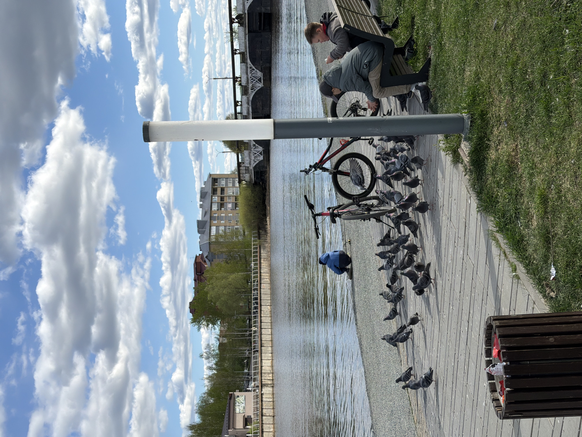 A horizontal shot shows a section of a paved embankment along a body of water, likely a river or a lake. The scene is in Votkinsk, Russia.
To the right, a grassy area meets the edge of the pavement where a wooden bench sits. Two people are near the bench. One person is standing behind the bench and appears to be eating or holding something in their hands. The other person is leaning over a bicycle.
Along the pavement, many pigeons are gathered, some close to the edge of the water and others near the base of a metal light pole. A person in a blue jacket is crouched near the edge of the water. The bicycle is leaning against the light pole.
Behind the embankment and across the water is a view of buildings and trees. A bridge spans the water in the background. The sky is visible in the upper part of the frame and is filled with puffy white clouds.