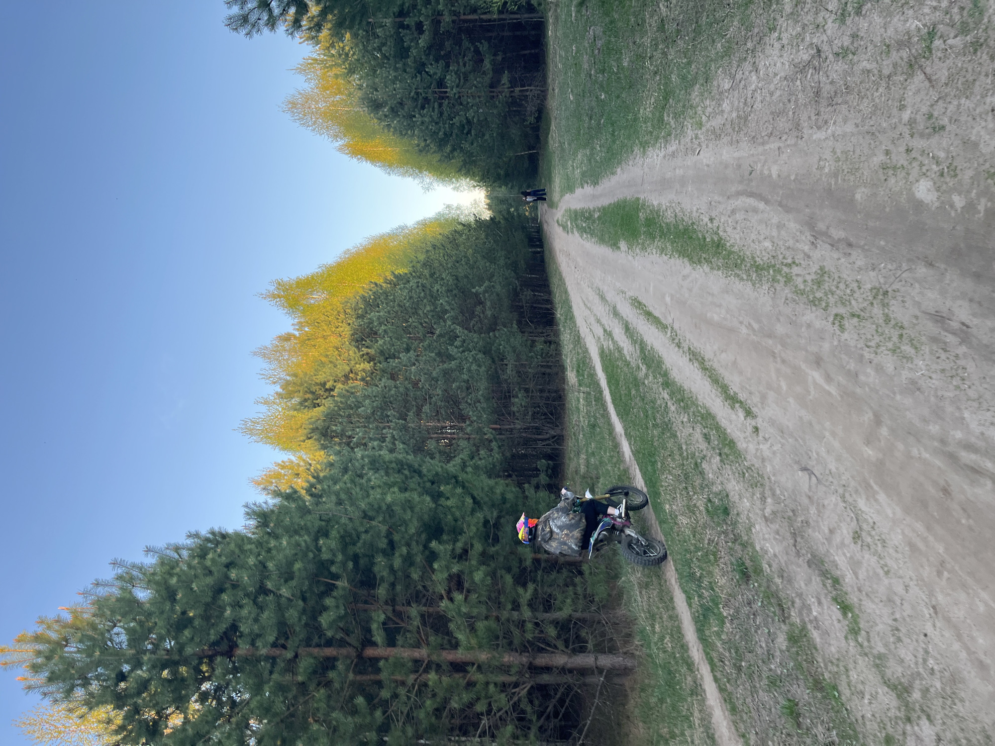 A dirt road stretches into the distance, flanked by dense trees on both sides. The sky is clear and blue. A person on a dirt bike is positioned on the road in the foreground. Two figures stand further down the road in the distance. The location is in a wooded area of the city of Chaikovsky, Russia.