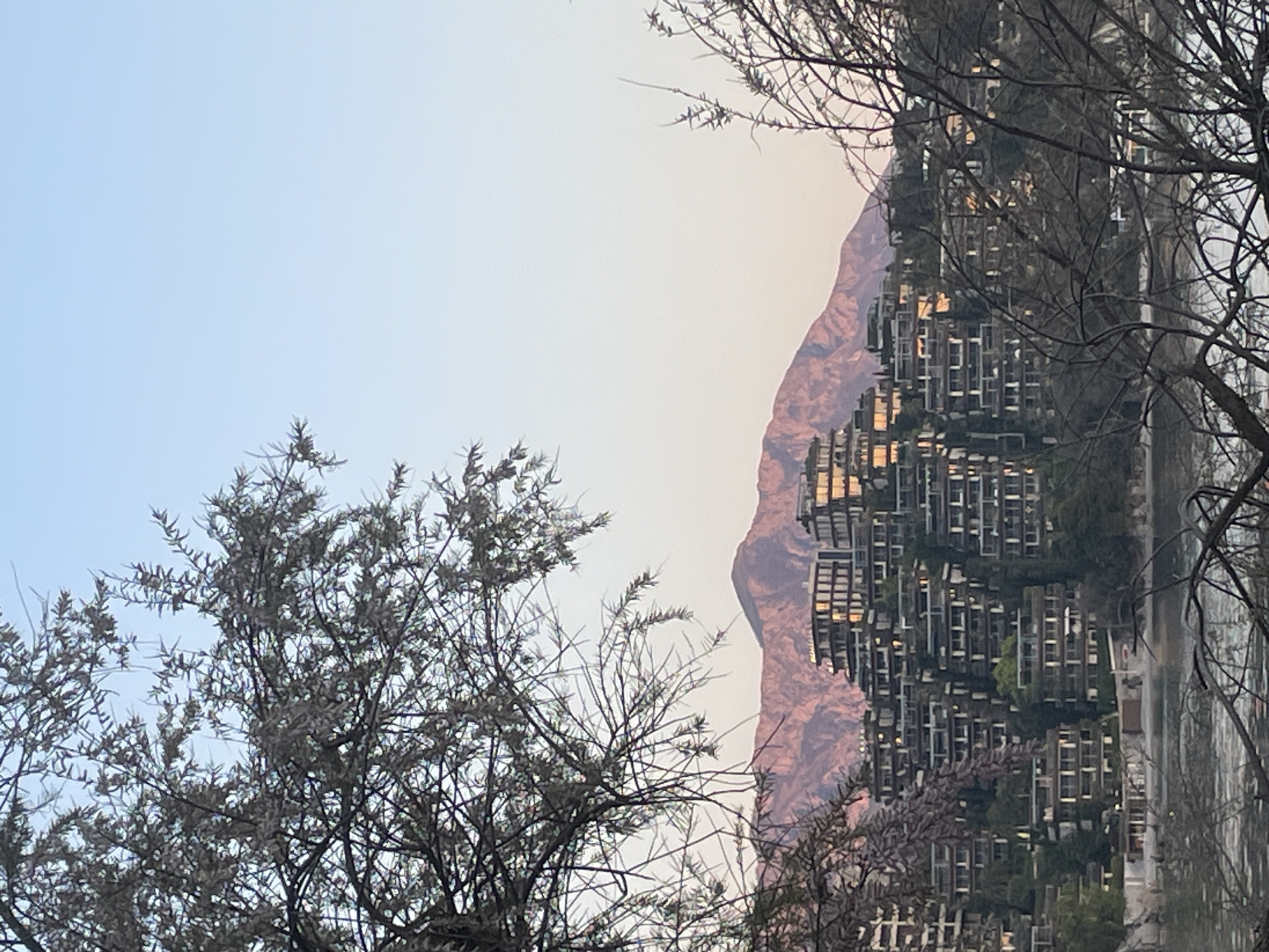 The image depicts a cityscape scene in Budva, Montenegro, with a distinctive architectural style. In the foreground, bare tree branches frame the view. The central focus is a series of tall, modern buildings characterized by a repetitive grid-like pattern of windows and balconies. The buildings appear to be constructed on a hillside, possibly overlooking the Adriatic Sea, which is visible as a strip of water to the right. In the background, a rugged mountain range is seen. The sky is pale with a hint of light, suggesting either dawn or dusk. The image is rotated 90 degrees clockwise.