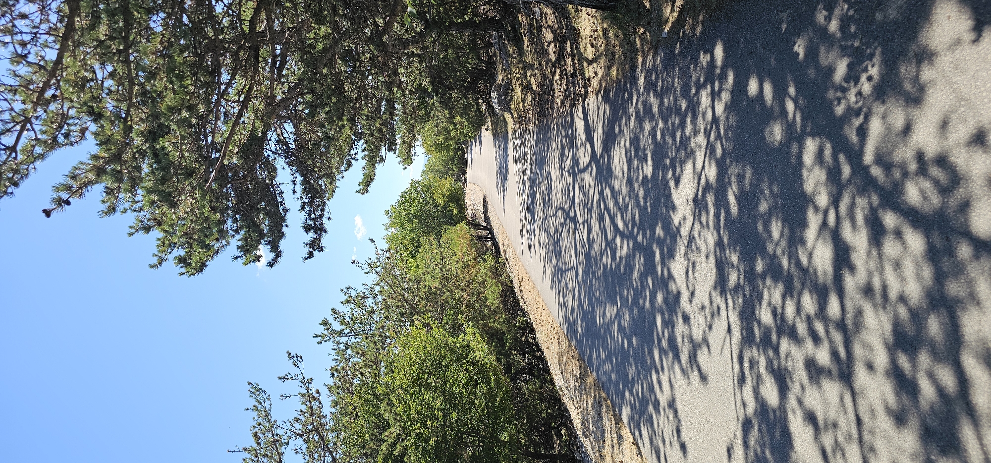 The image depicts a paved road winding through a wooded area. The road is partially covered in dappled shadows cast by the trees overhead, suggesting a sunny day. Lush green foliage lines both sides of the road, with a mix of deciduous and coniferous trees visible. In the distance, the road continues to curve, disappearing into the greenery. The sky above is clear and blue with a few wispy clouds. The scene appears to be a natural landscape, likely a rural or park setting. Based on the provided context, this location is in Općina Nerežišća, Croatia. There are no people or specific actions captured in the image, just a serene view of a road amidst nature.